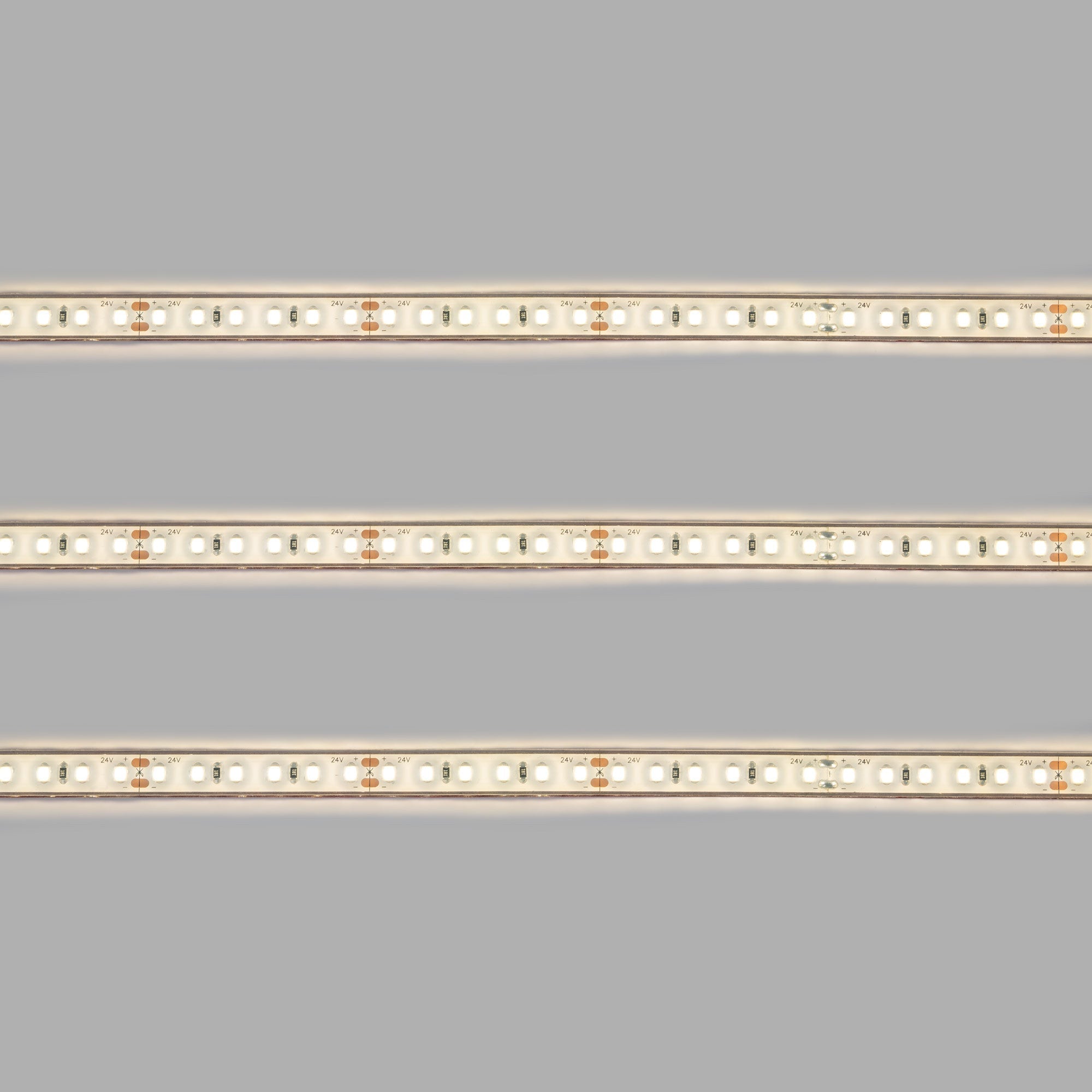 Tira LED 24V DC sumergible - Monocolor - 9.6W/m - 10mm - IP68 - 5 metros - 120ch/m