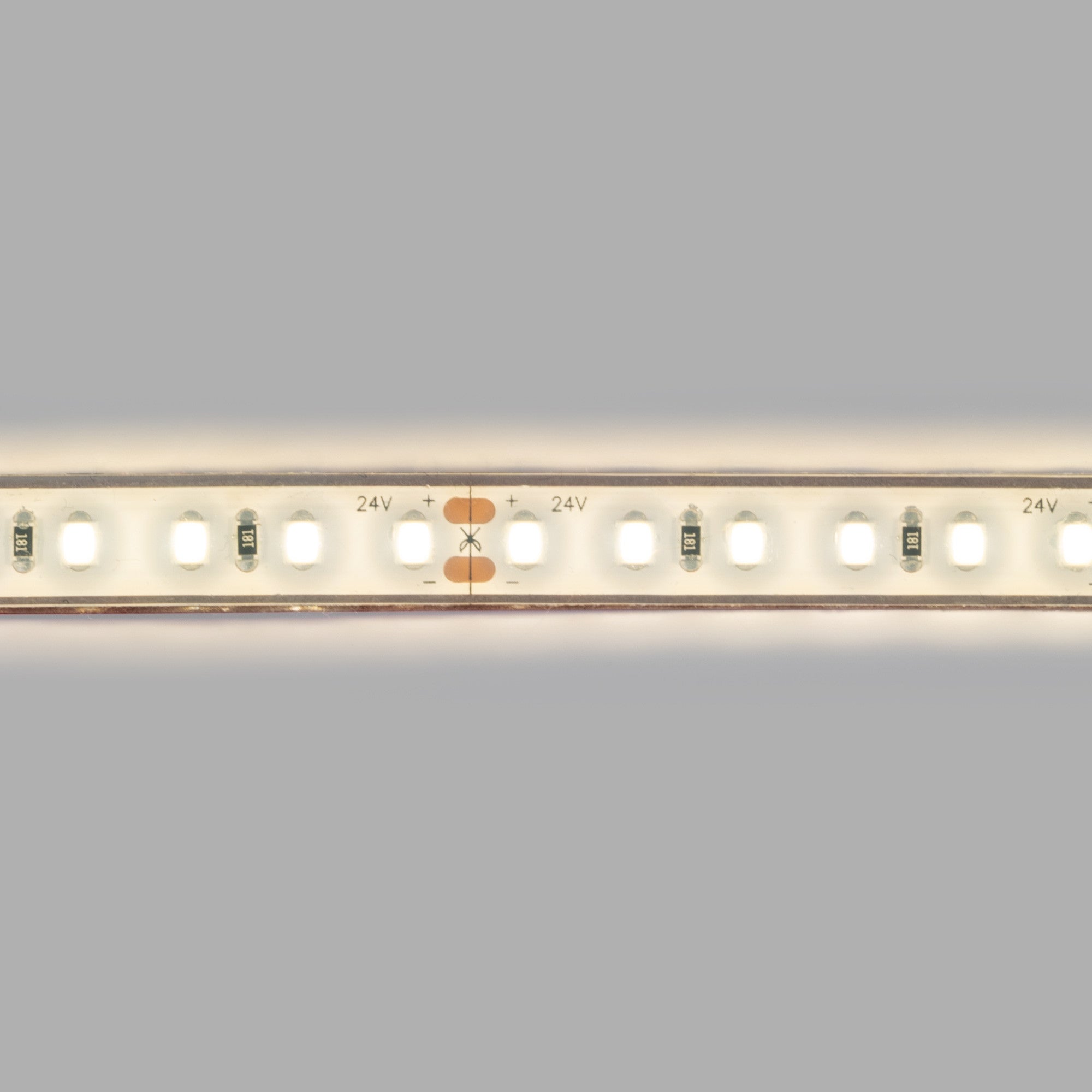 Tira LED 24V DC sumergible - Monocolor - 9.6W/m - 10mm - IP68 - 5 metros - 120ch/m