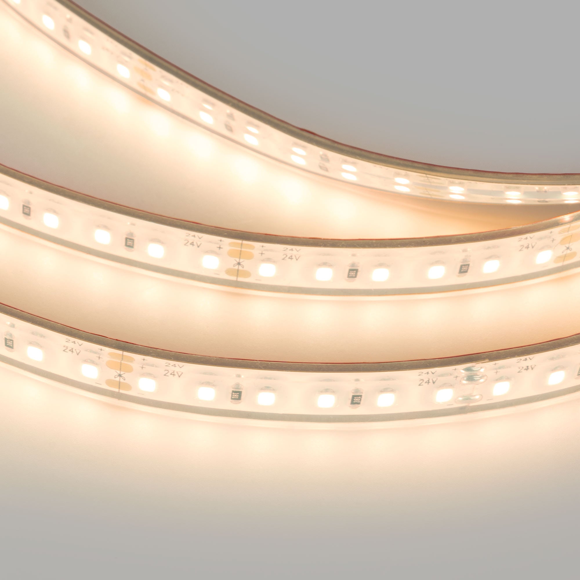 Tira LED 24V DC sumergible - Monocolor - 9.6W/m - 10mm - IP68 - 5 metros - 120ch/m