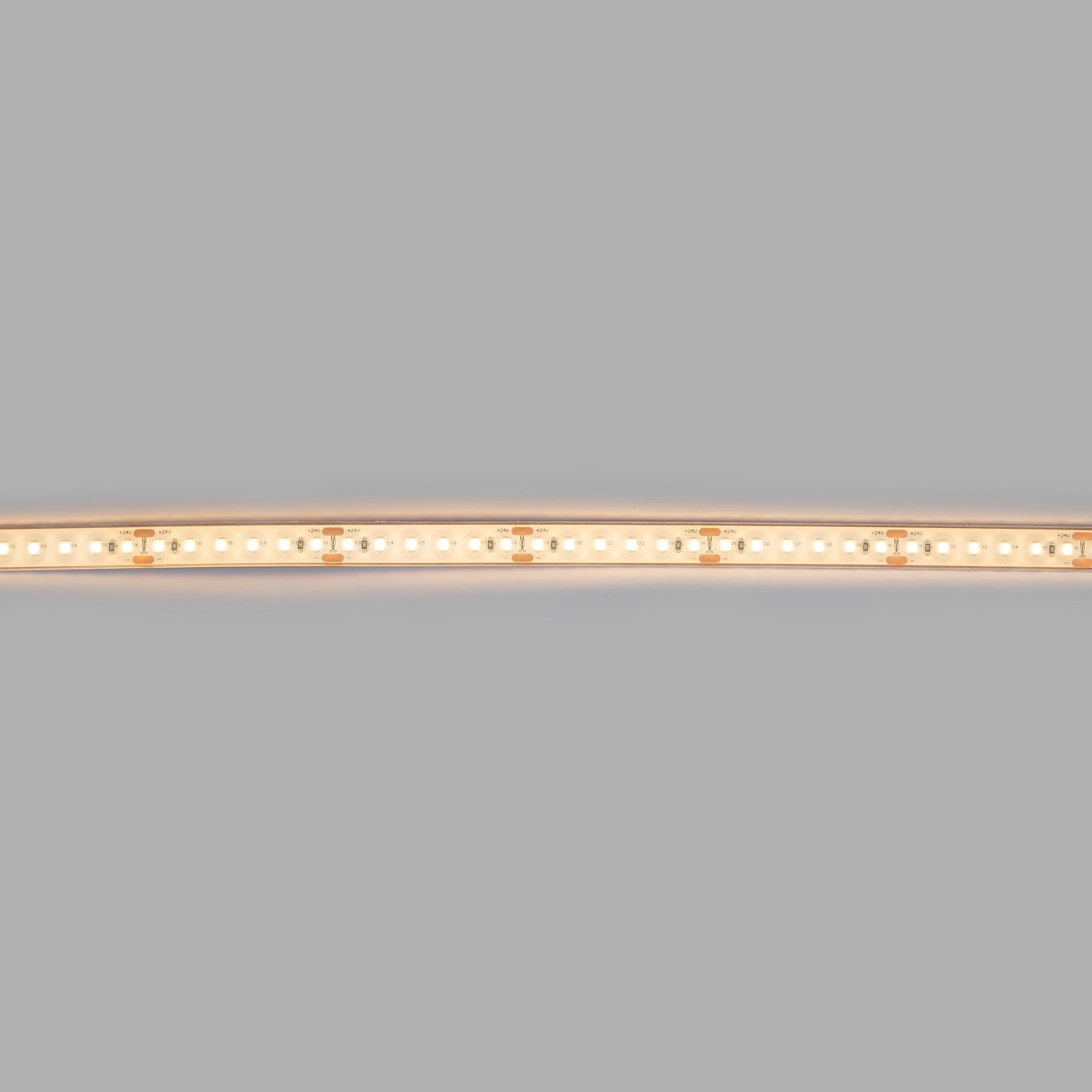 Tira LED 24V DC sumergible - Monocolor - 9.6W/m - 12mm - IP68 - 10 metros - 120ch/m