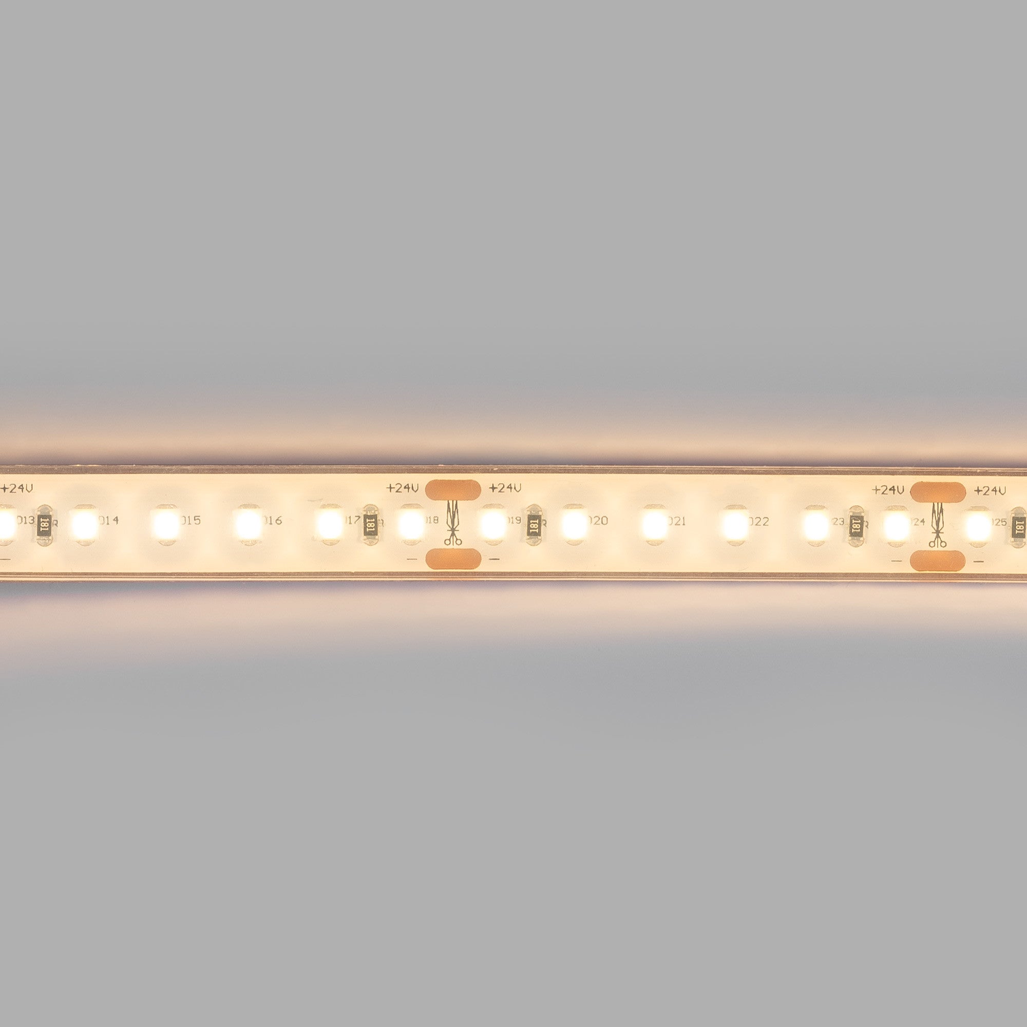 Tira LED 24V DC sumergible - Monocolor - 9.6W/m - 12mm - IP68 - 10 metros - 120ch/m