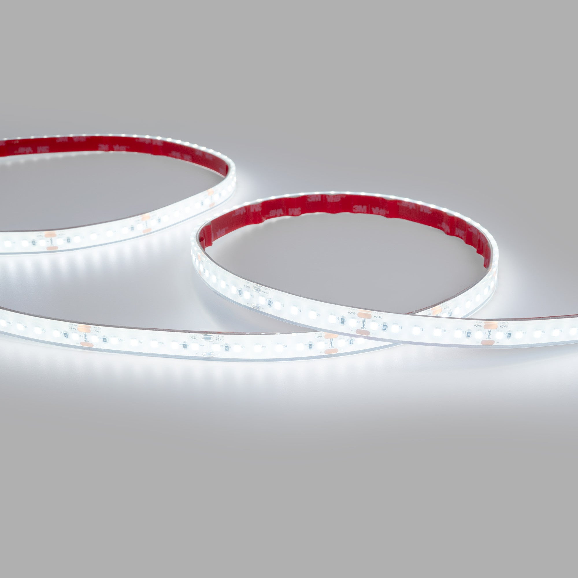 Tira LED 24V DC sumergible - Monocolor - 9.6W/m - 12mm - IP68 - 10 metros - 120ch/m