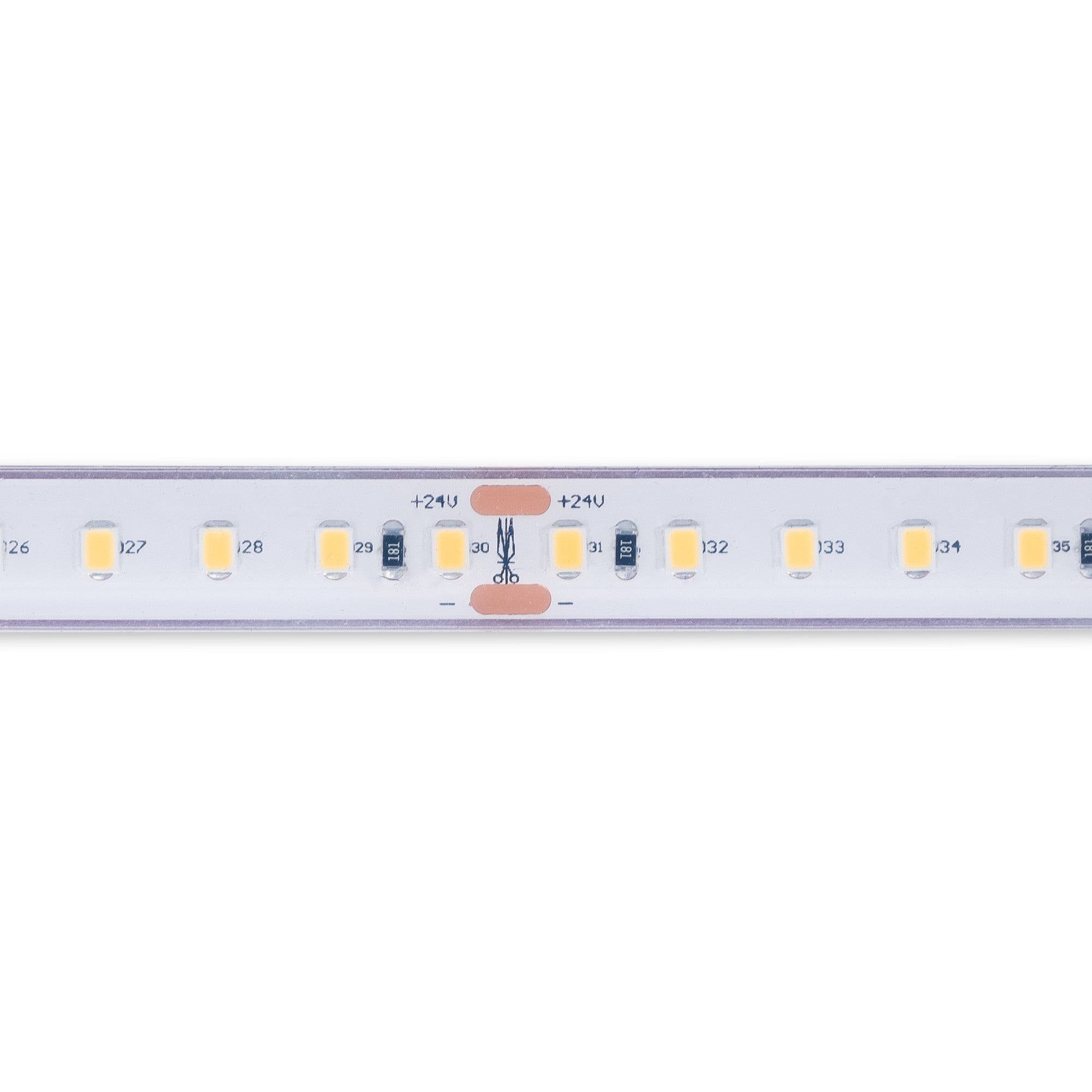 Tira LED 24V DC sumergible - Monocolor - 9.6W/m - 12mm - IP68 - 10 metros - 120ch/m