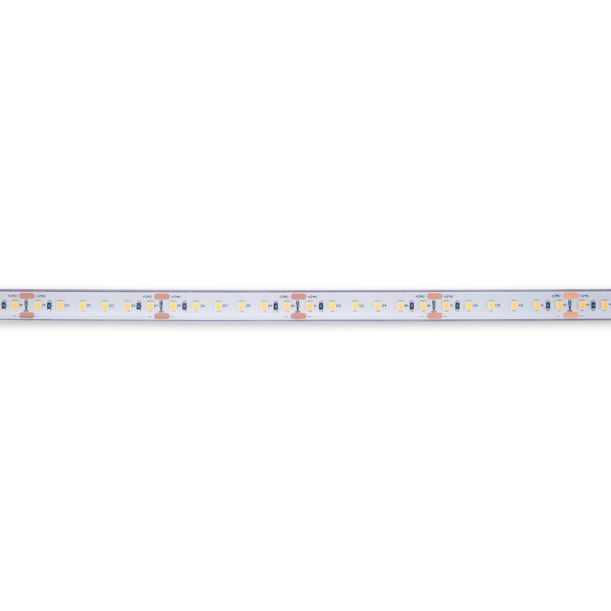 Tira LED 24V DC sumergible - Monocolor - 9.6W/m - 12mm - IP68 - 10 metros - 120ch/m
