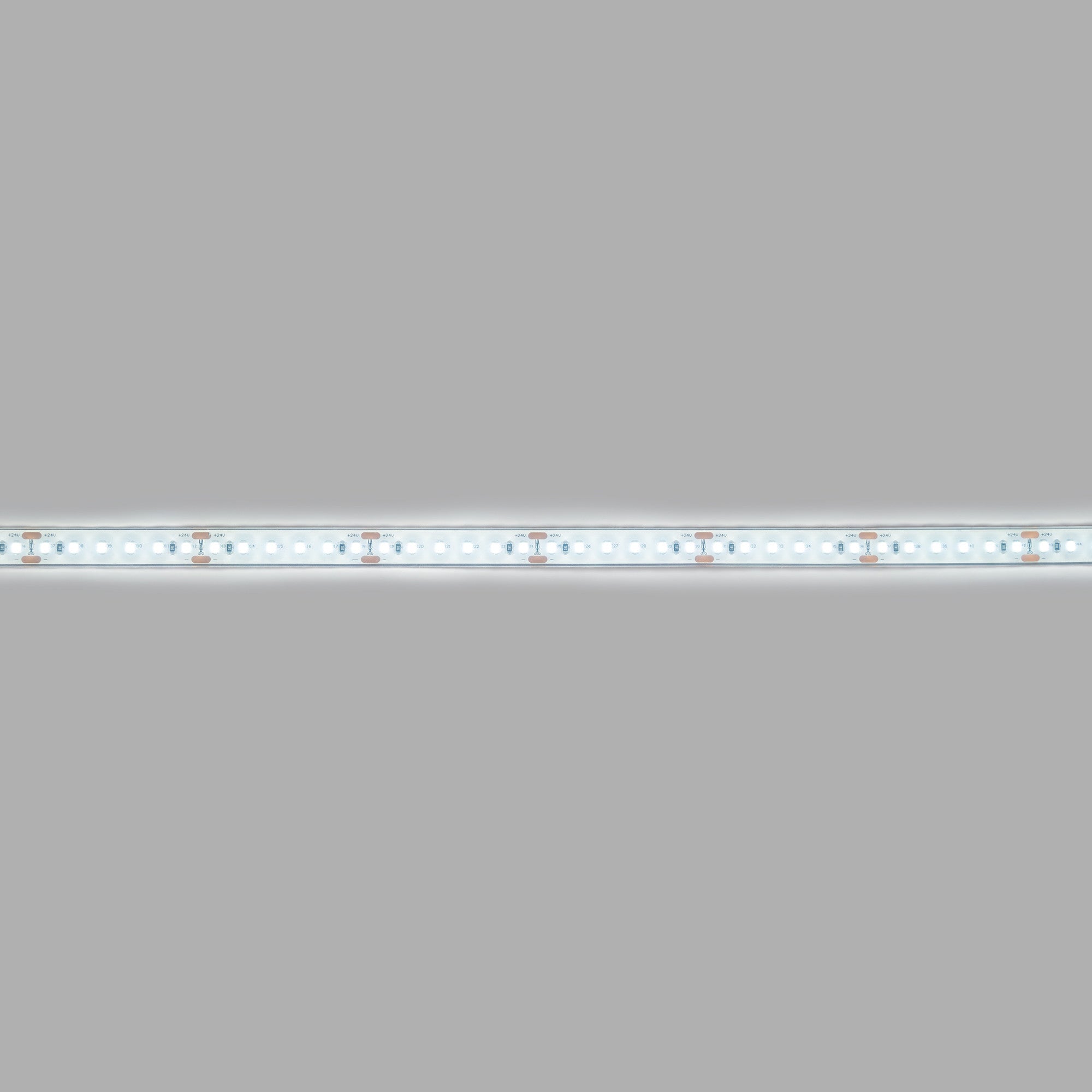 Tira LED 24V DC sumergible - Monocolor - 9.6W/m - 12mm - IP68 - 10 metros - 120ch/m