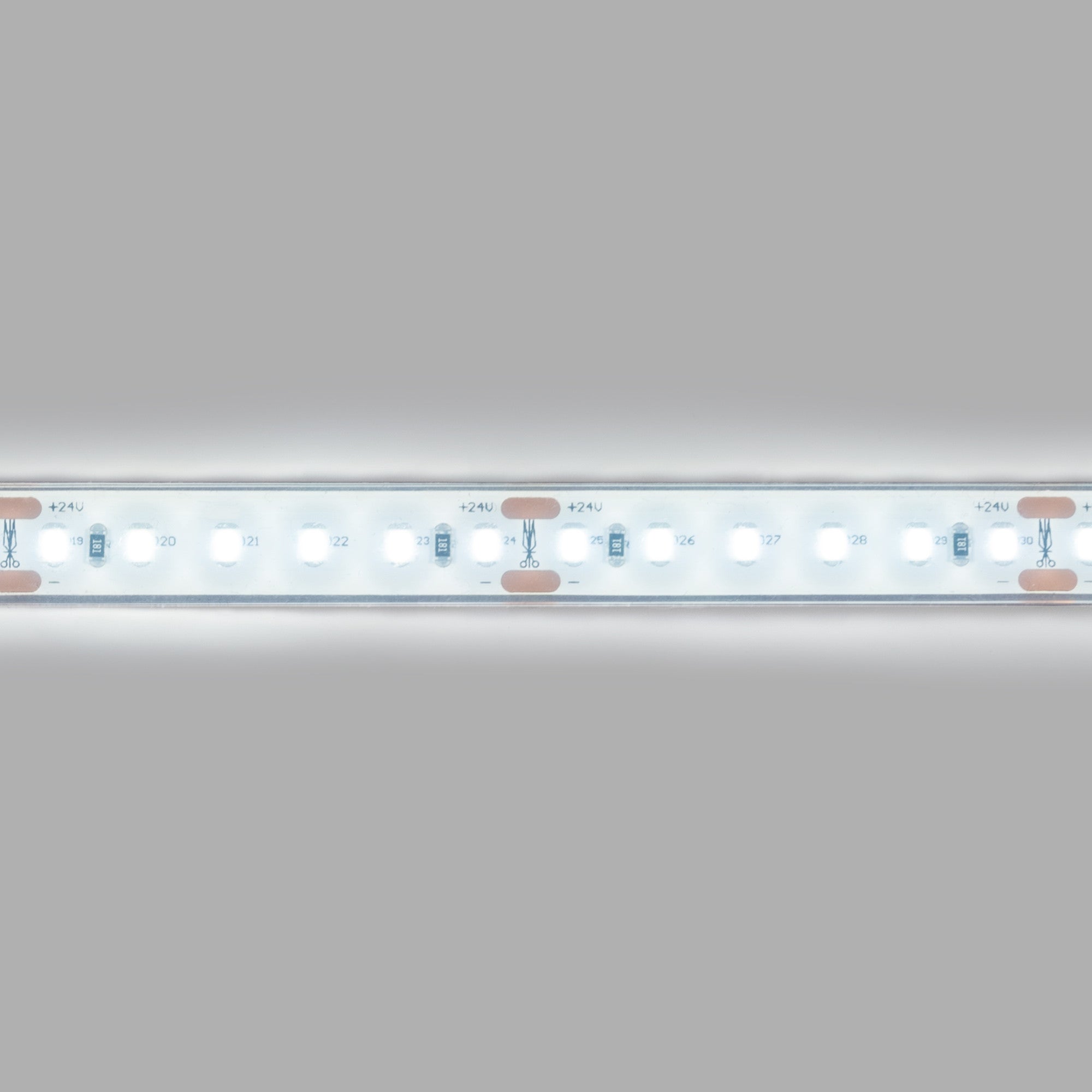 Tira LED 24V DC sumergible - Monocolor - 9.6W/m - 12mm - IP68 - 10 metros - 120ch/m