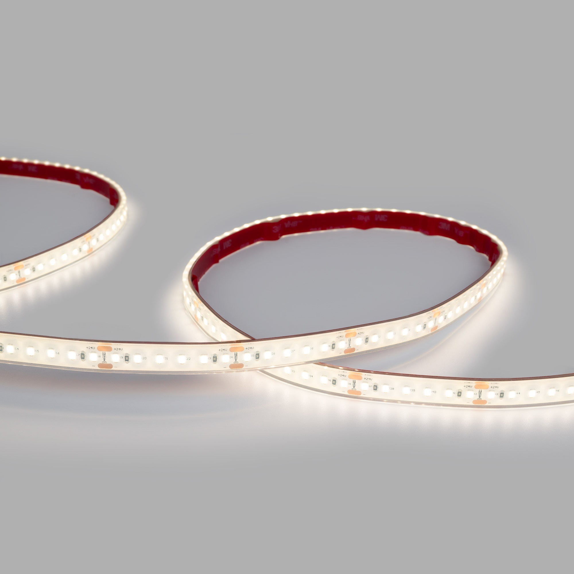 Tira LED 24V DC sumergible - Monocolor - 9.6W/m - 12mm - IP68 - 10 metros - 120ch/m