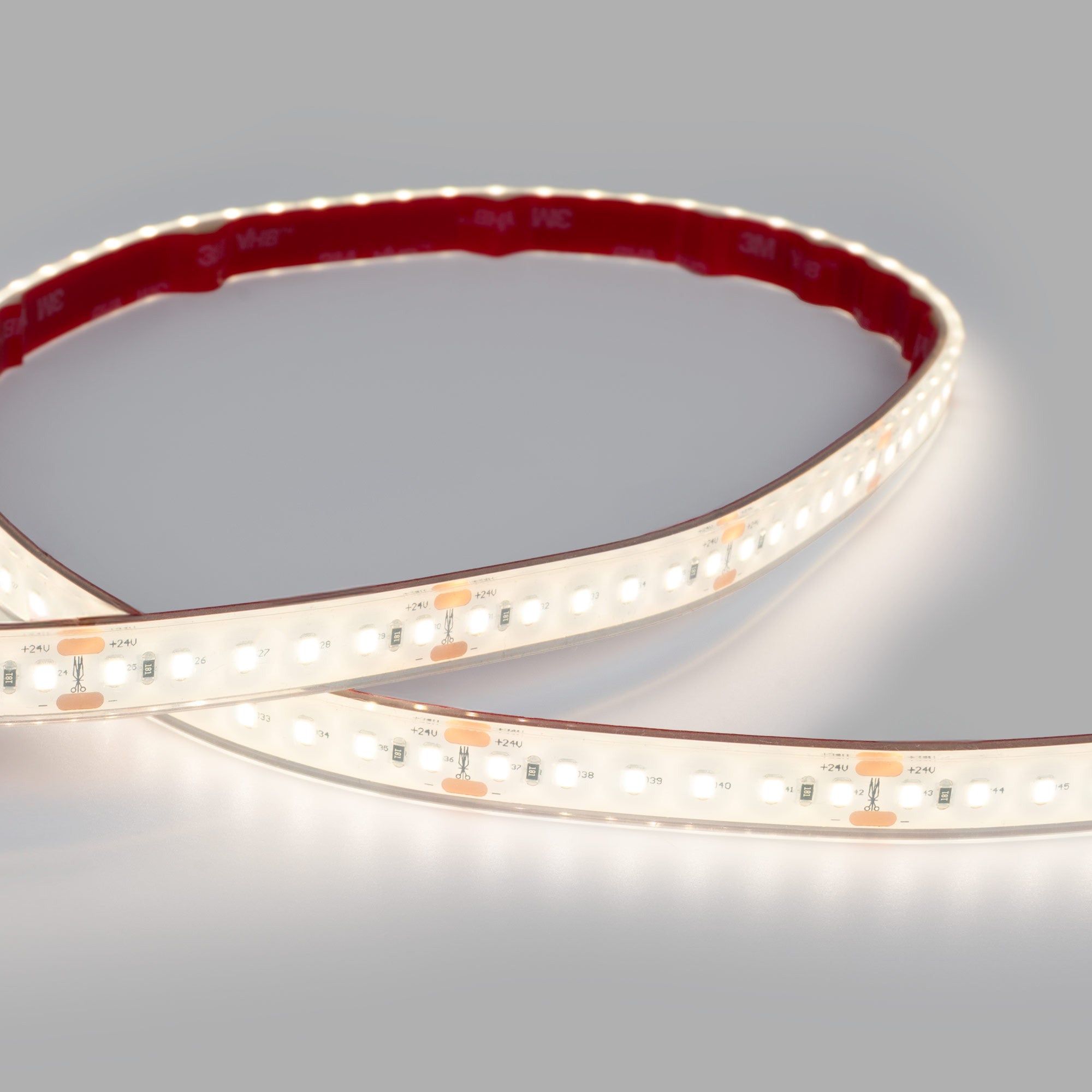 Tira LED 24V DC sumergible - Monocolor - 9.6W/m - 12mm - IP68 - 10 metros - 120ch/m