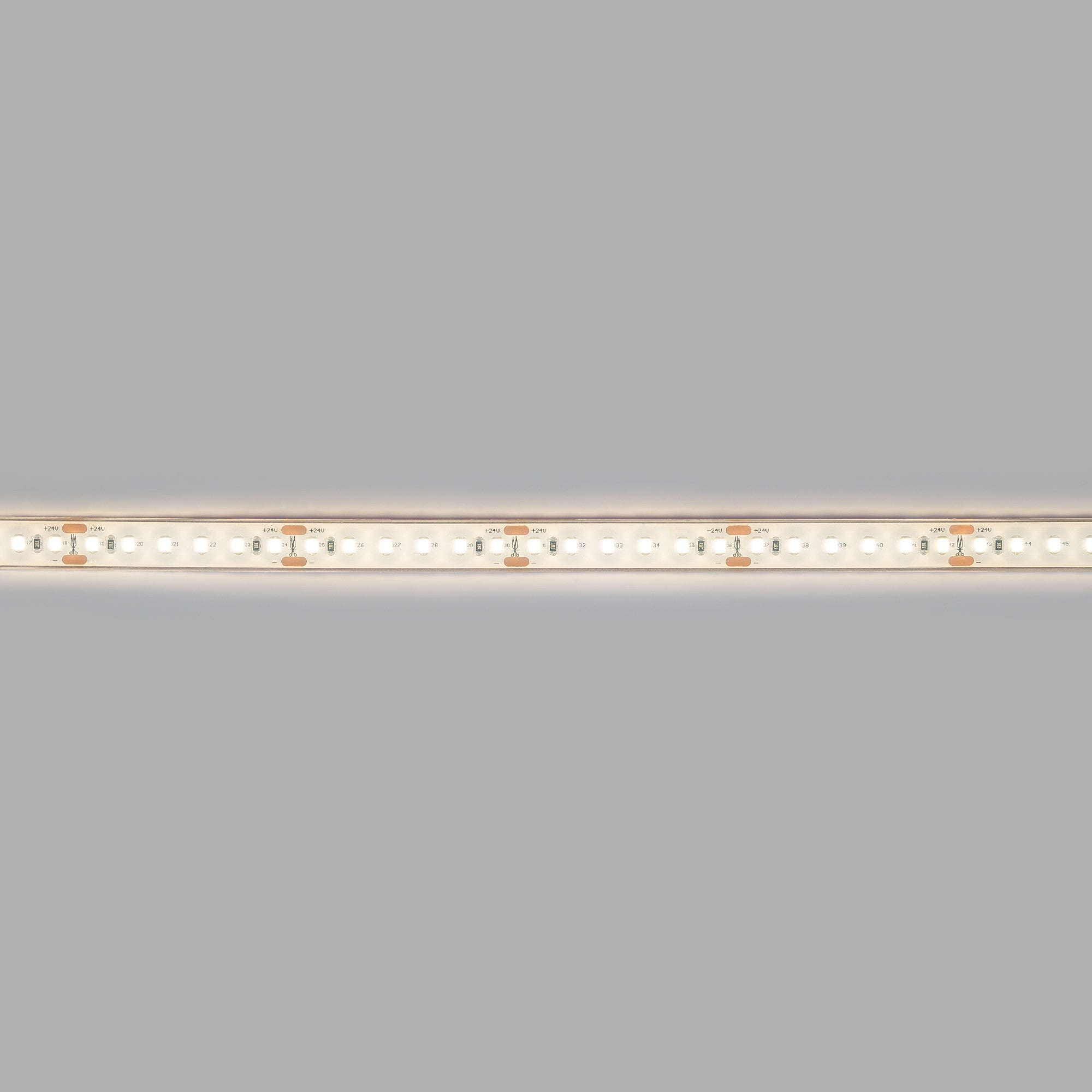 Tira LED 24V DC sumergible - Monocolor - 9.6W/m - 12mm - IP68 - 10 metros - 120ch/m