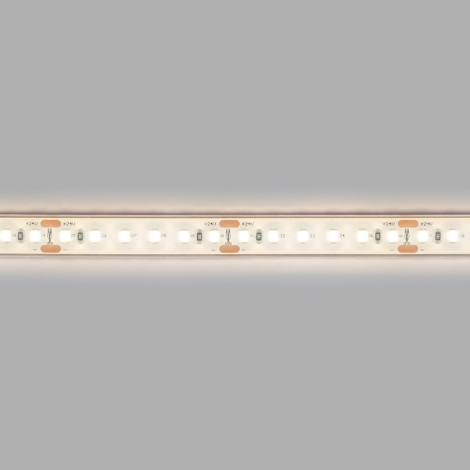 Tira LED 24V DC sumergible - Monocolor - 9.6W/m - 12mm - IP68 - 10 metros - 120ch/m