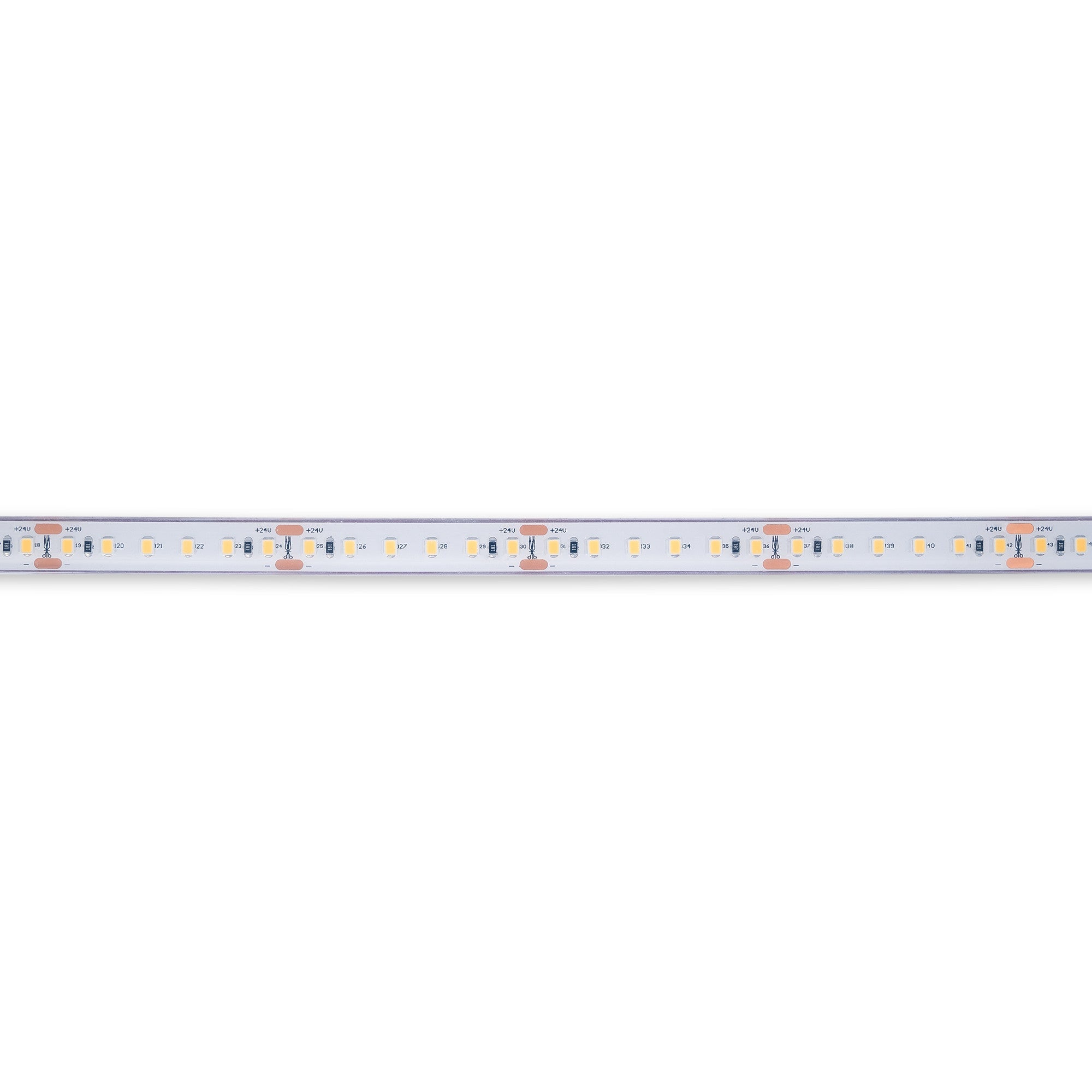 Tira LED 24V DC sumergible - Monocolor - 9.6W/m - 12mm - IP68 - 10 metros - 120ch/m