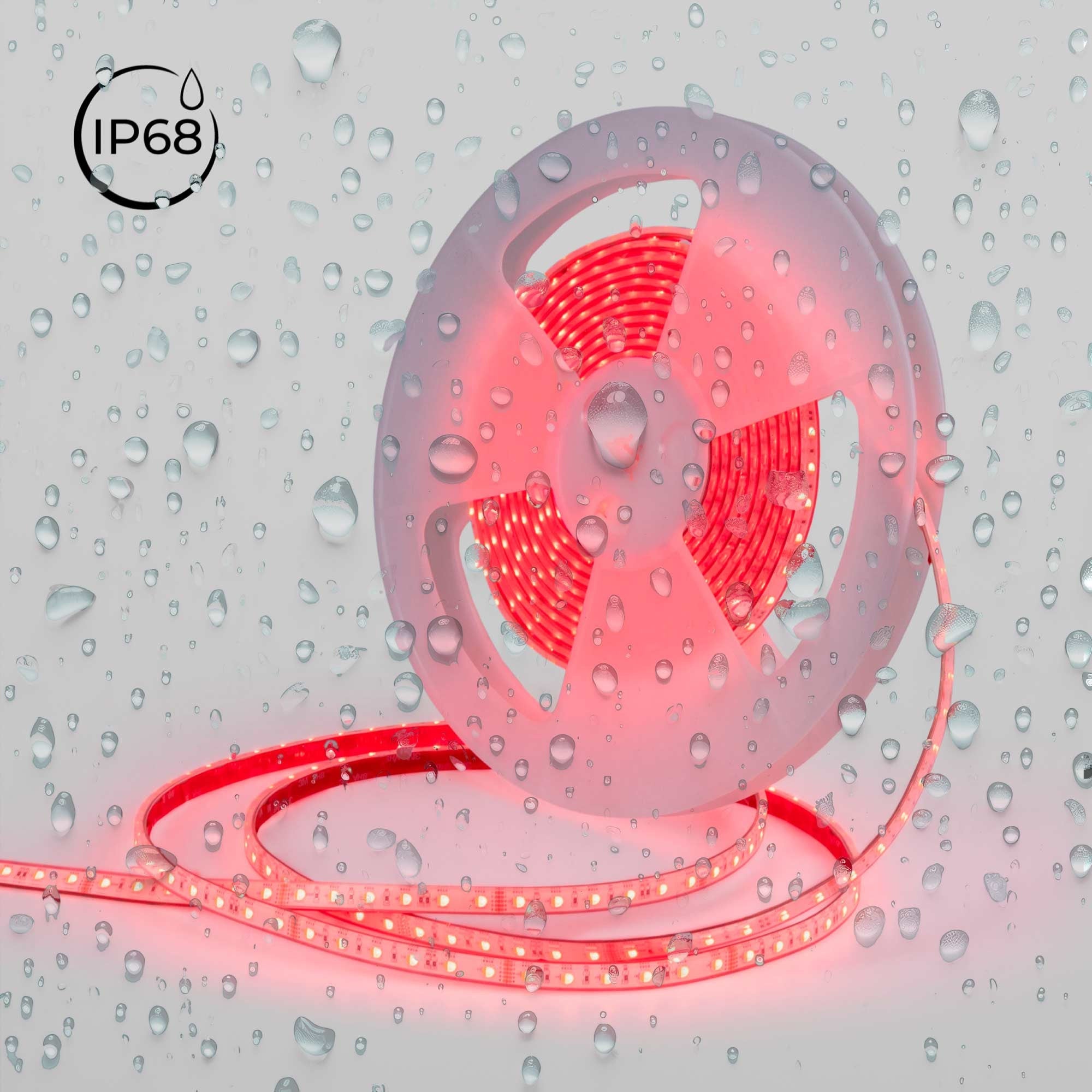 Tira LED 24V DC sumergible - RGBW - 14.4W/m - 12mm - IP68 - 10 metros - 60ch/m