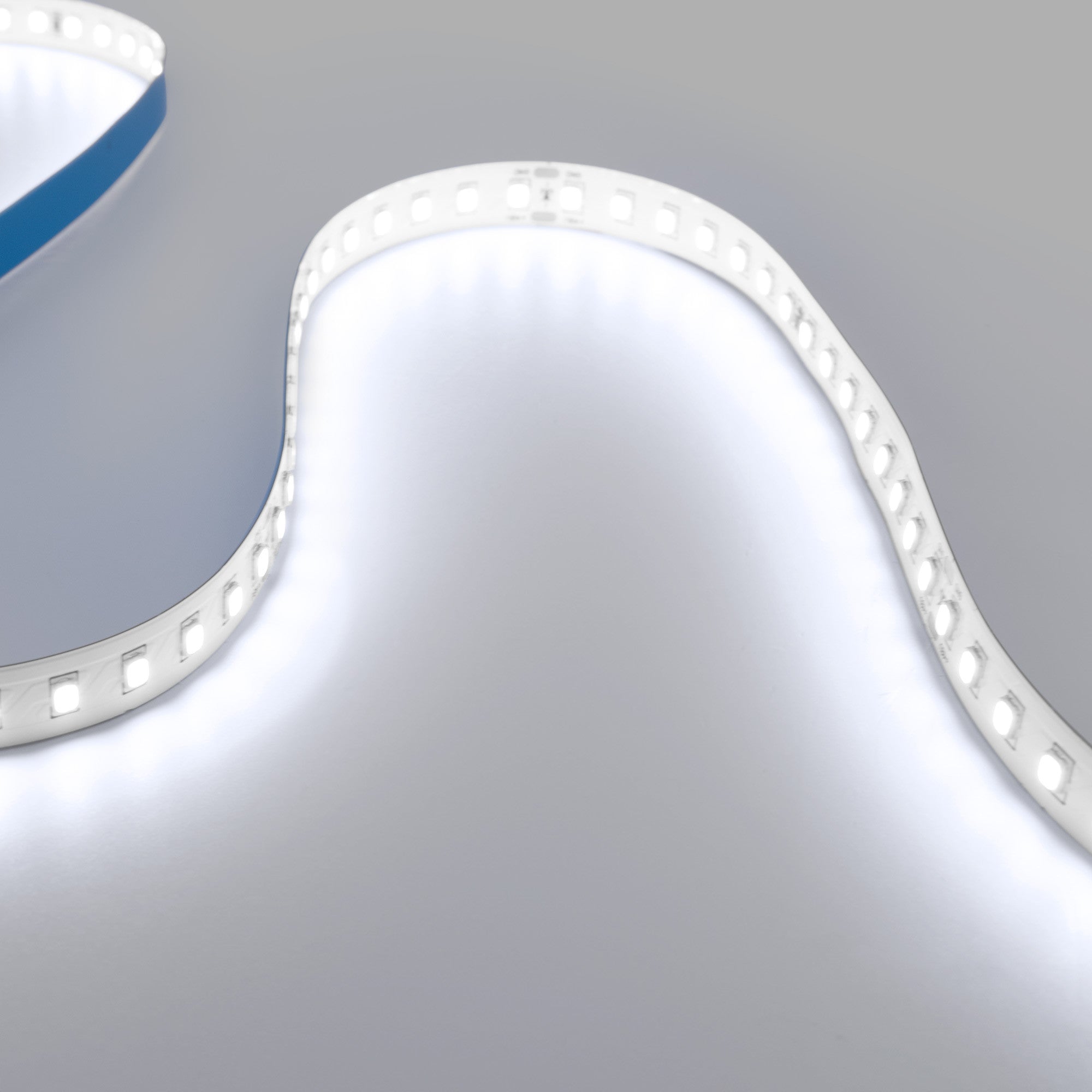 Tira LED 48V DC - Monocolor - 12W/m - 10mm - IP20 - 10 metros - 120ch/m