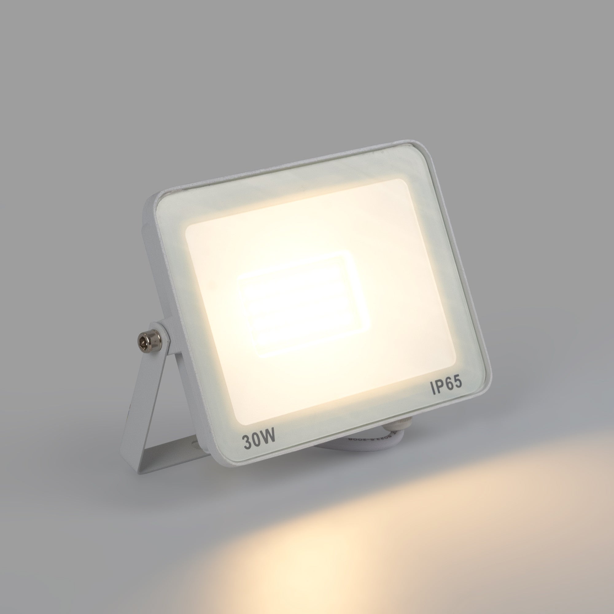 Proyector LED exterior 30W - 95lm/W - IP65 - Blanco