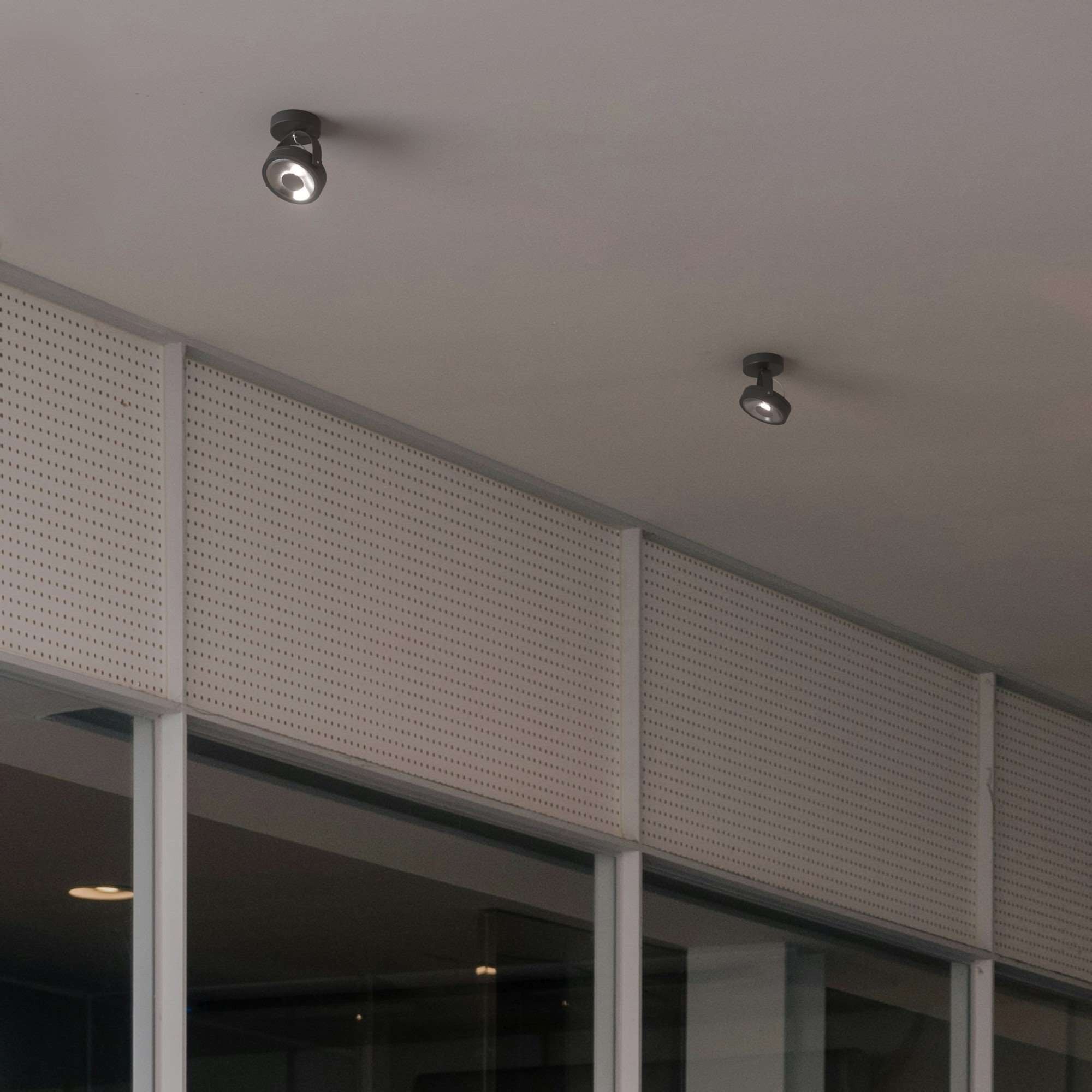 Foco de techo orientable "IRIS" + Bombilla AR111 GU10