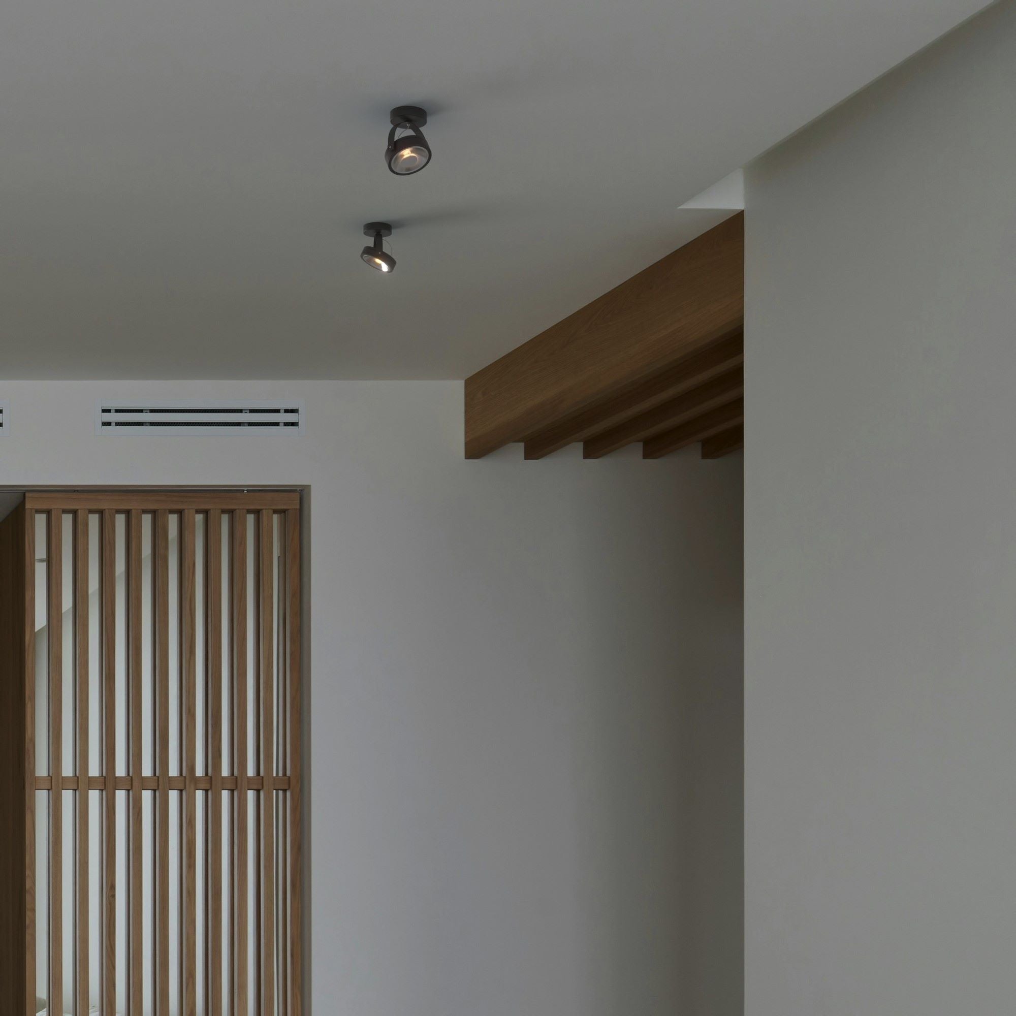 Foco de techo orientable "IRIS" + Bombilla AR111 GU10