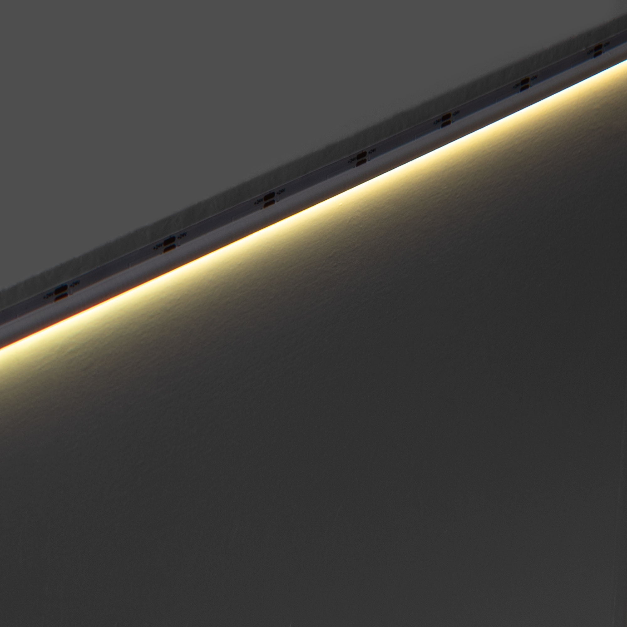 Tira LED COB 24V DC monocolor - Emisión lateral - 9W/m - 8mm - IP20 - Corte c/ 3cm - Rollo de 5 metros