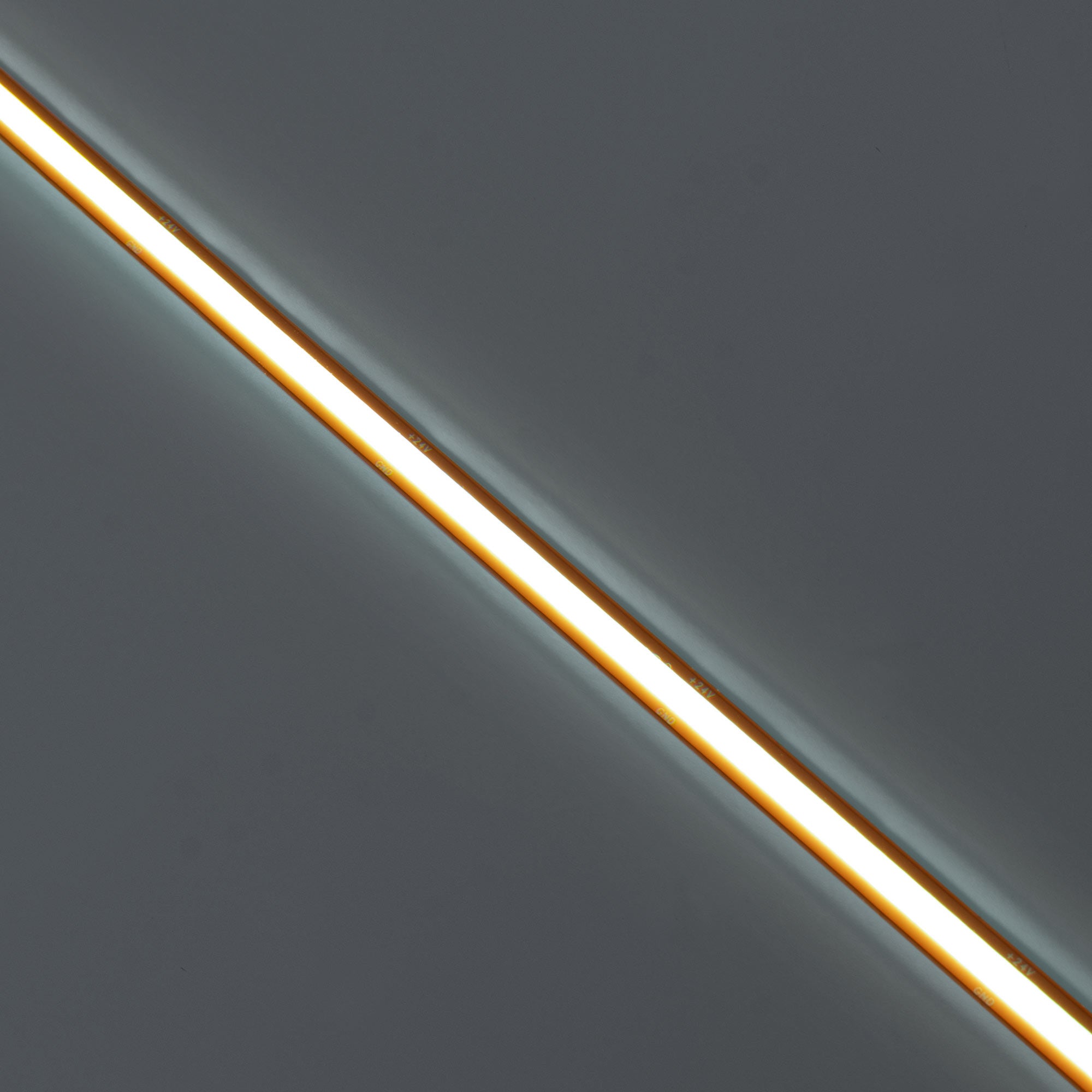 Tira LED COB 24V DC -Monocolor - FREE CUT - 11W/m - 8mm - IP20 - Rollo de 10 metros