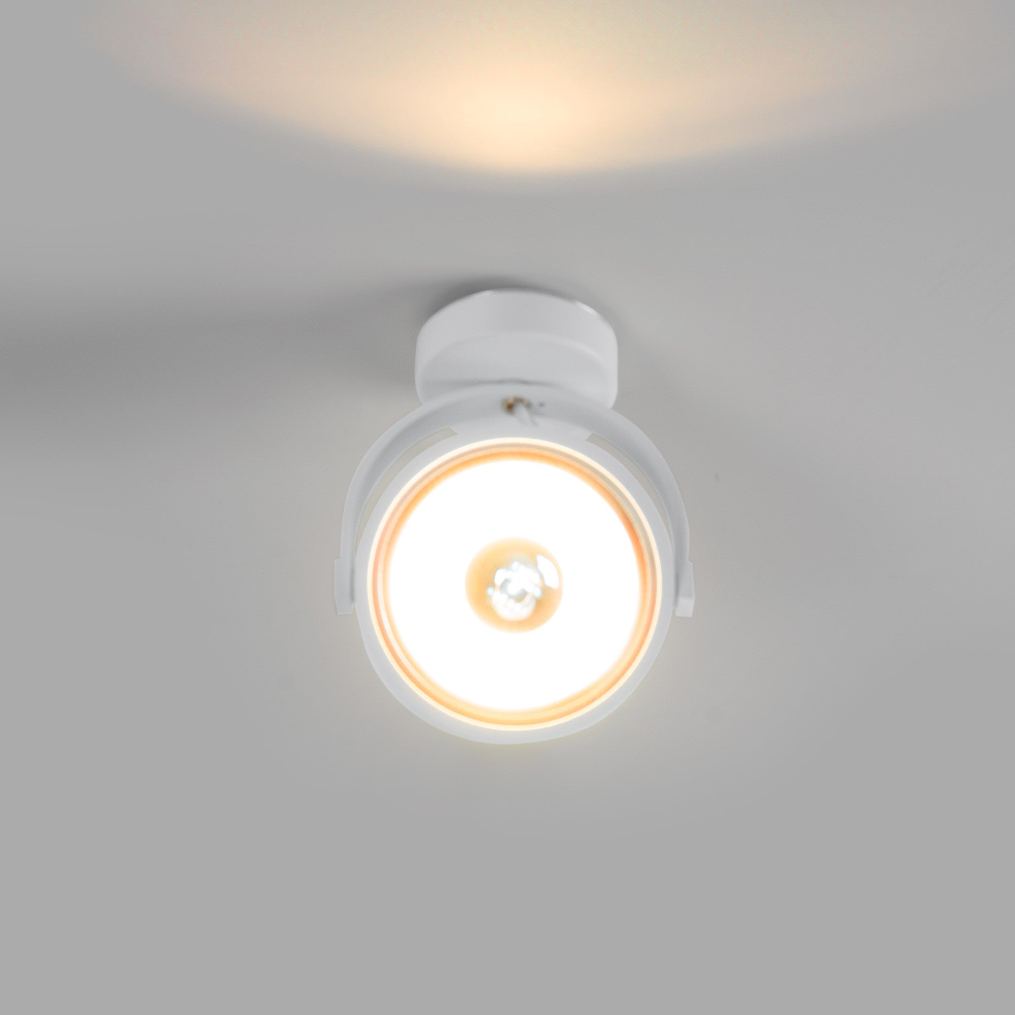 Foco de techo orientable "IRIS" + Bombilla AR111 GU10