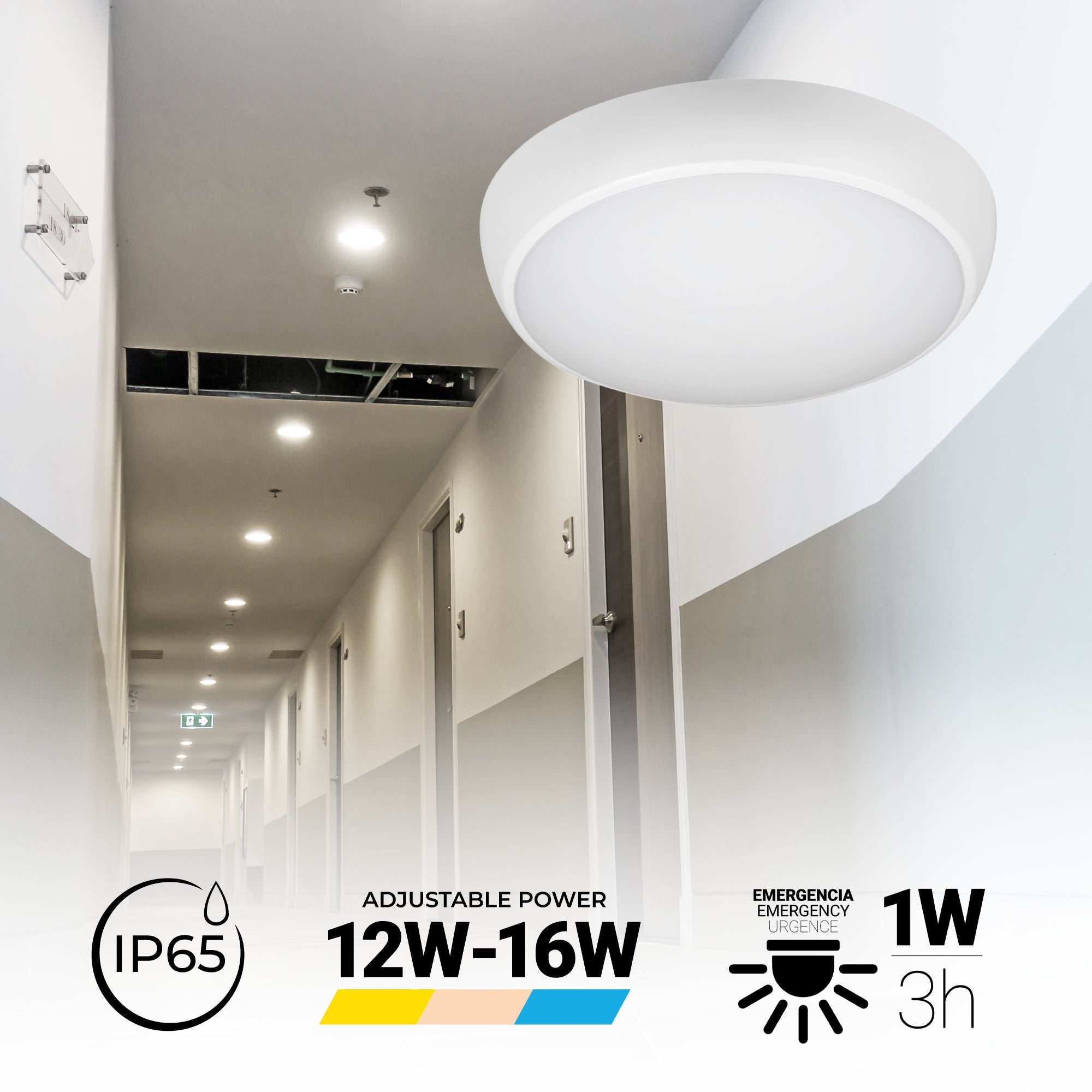 Plafón LED techo estanco / Luz de emergencia - CCT - Potencia ajustable 12W-16W - Ø31cm - IP65