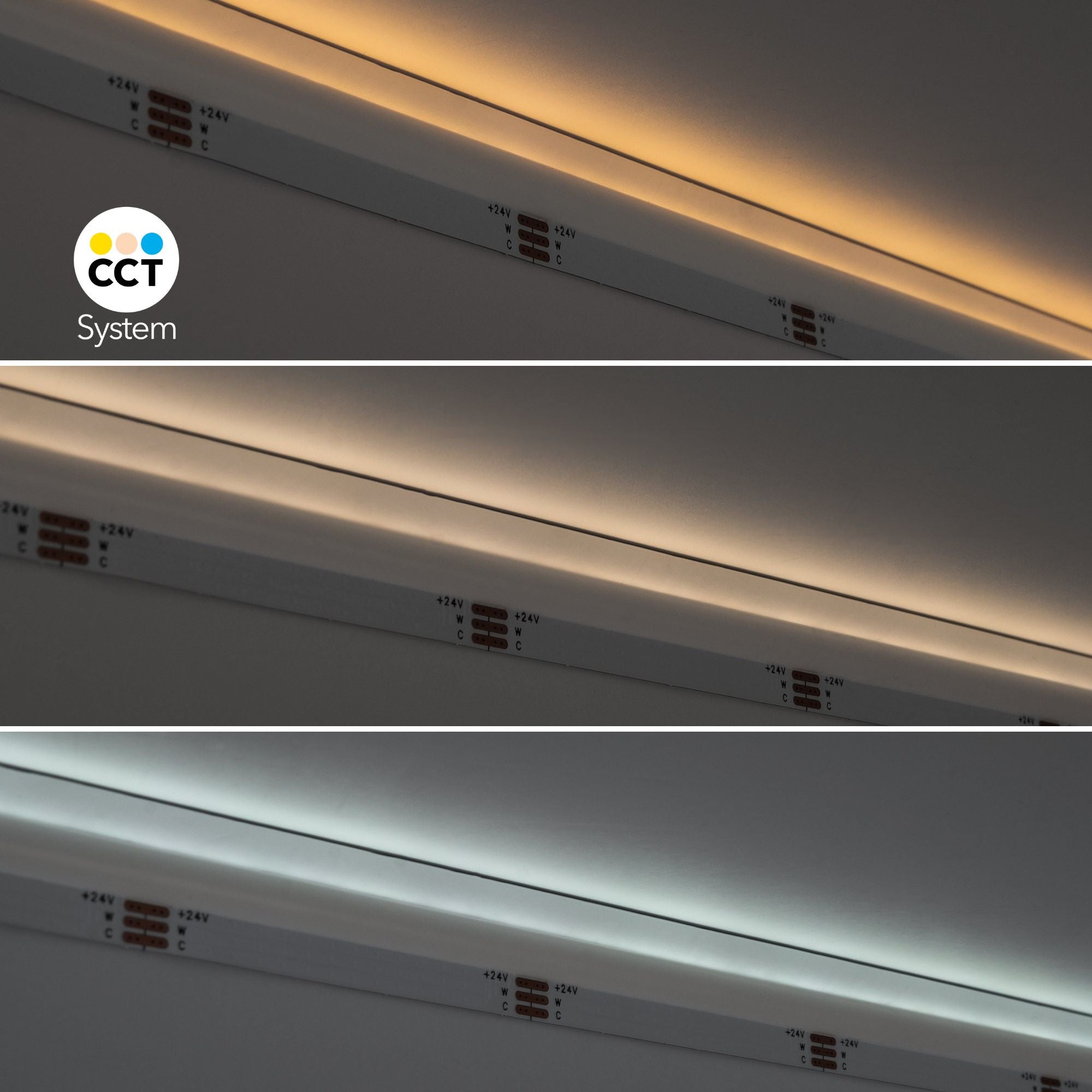 Tira LED COB 24V DC CCT - Emisión lateral - 12W/m - 10mm - IP20 - Corte c/ 5cm - Rollo de 5 metros