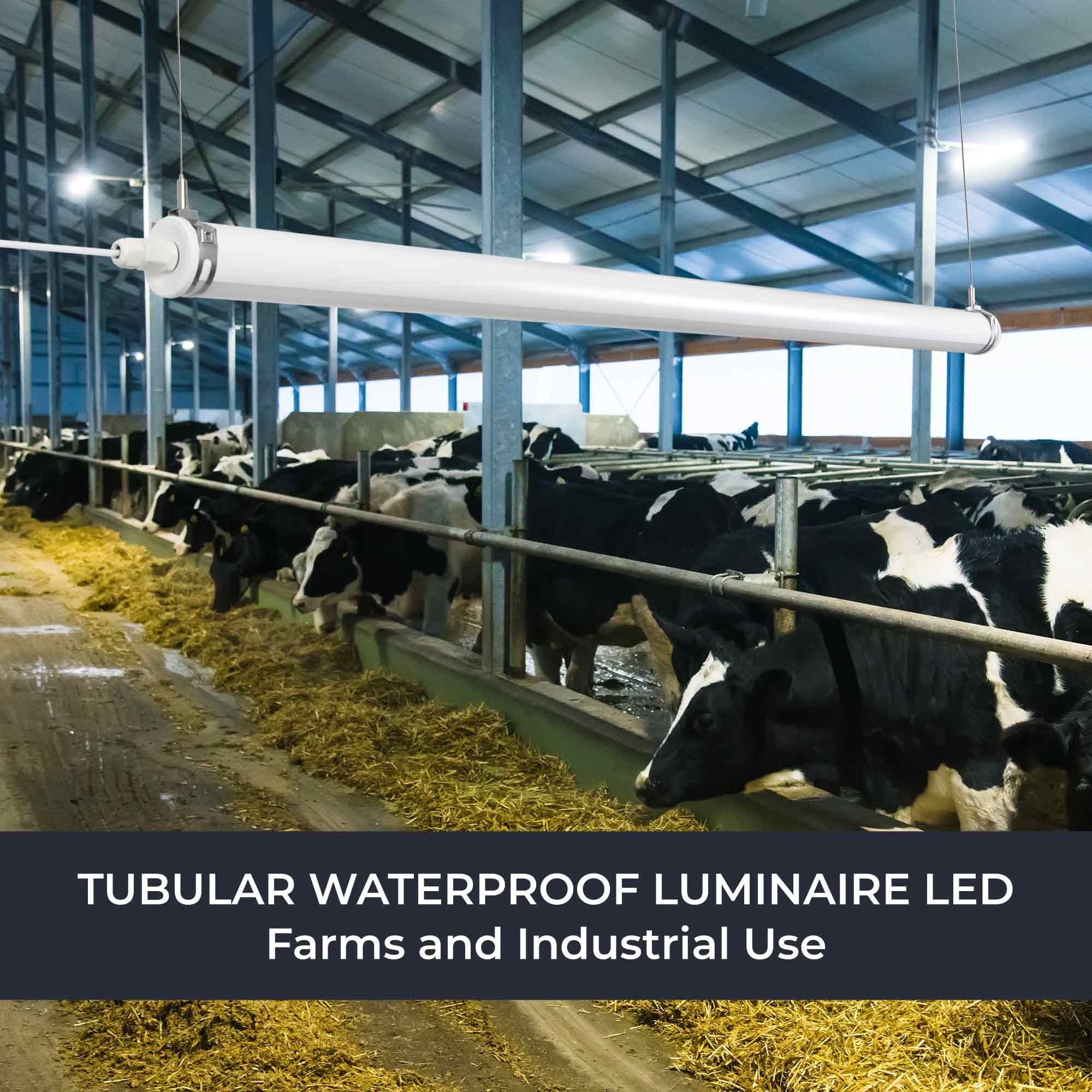 Luminaria estanca tubular para uso industrial - 150cm - 50W - 6900lm - IP65 - IK10