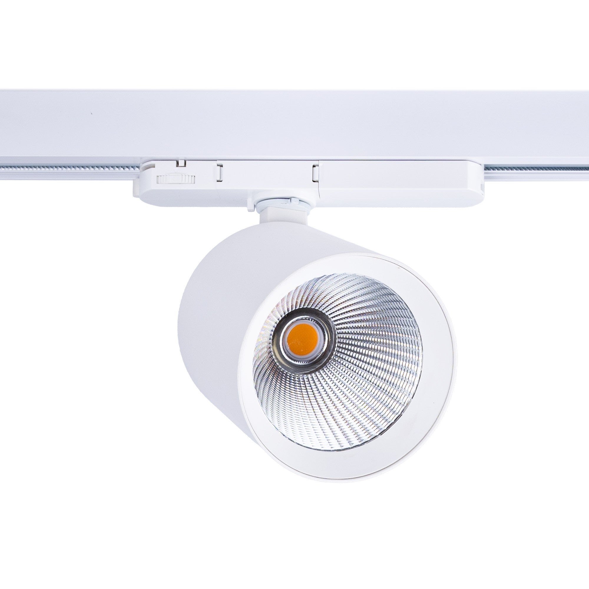 Proyector LED para carril trifásico 40W - Pescados y Mariscos - Driver Philips Xitanium