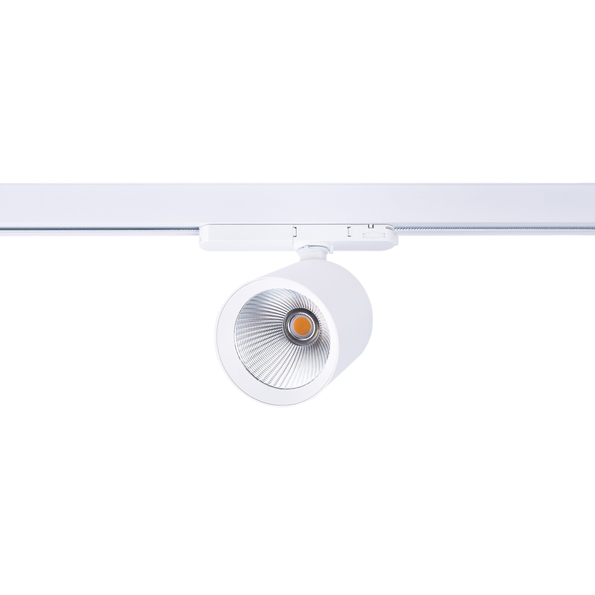 Proyector LED para carril trifásico 40W - Pescados y Mariscos - Driver Philips Xitanium