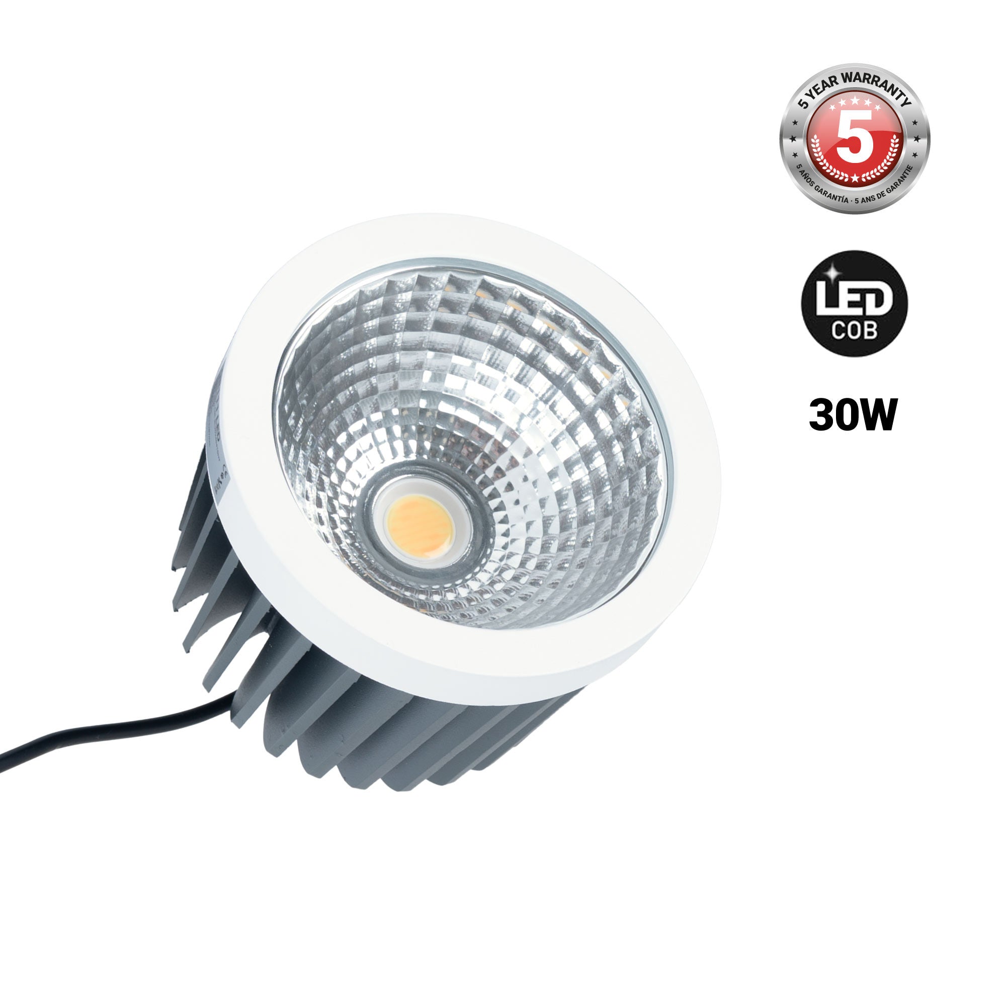 Módulo LED 30W QR111- CCT - Driver externo - 60° - CRI 90