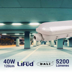Pantalla estanca LED lineal enlazable Regulable DALI - CCT - 120cm - 40W - DALI - Driver LIFUD - IP65