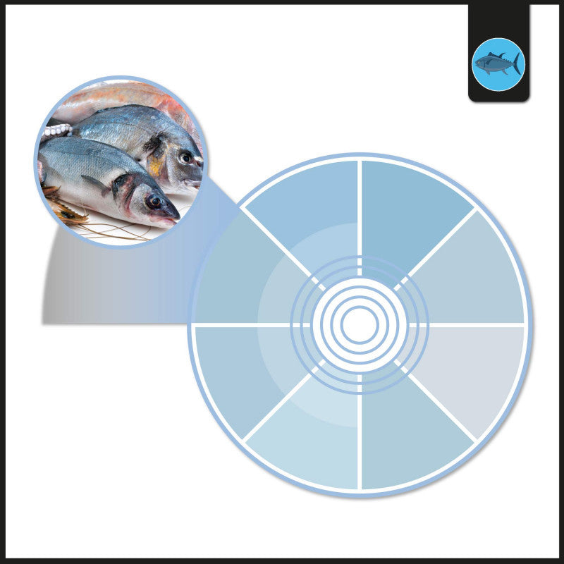 Proyector LED para carril trifásico 40W - Pescados y Mariscos - Driver Philips Xitanium