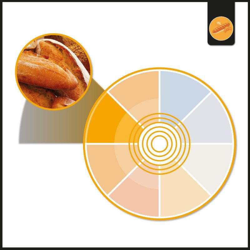 Proyector LED para carril monofásico 40W - Panaderías