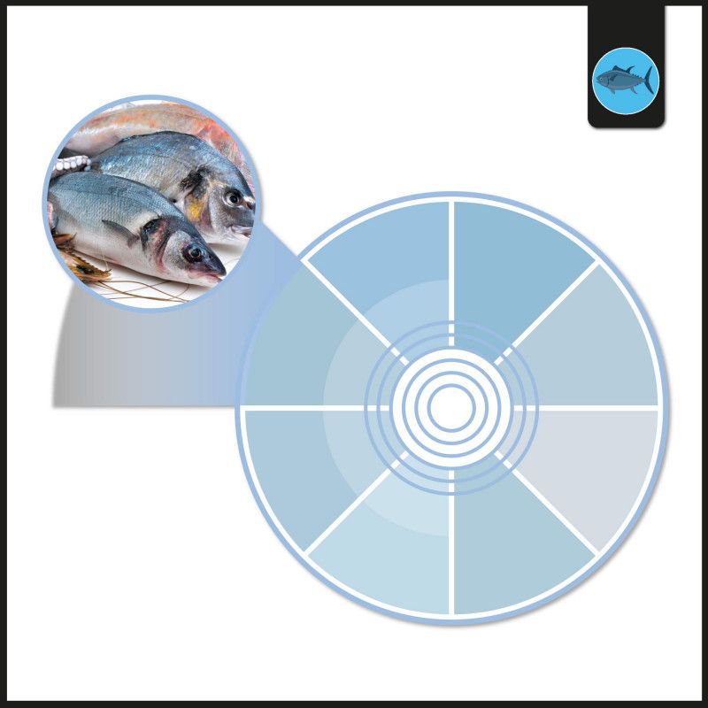 Proyector LED para carril monofásico 40W - Pescados y Mariscos