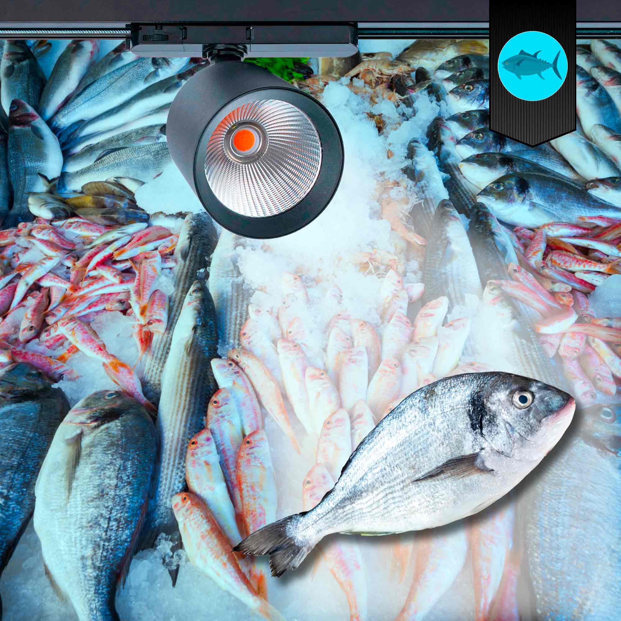 Proyector LED para carril trifásico 40W - Pescados y Mariscos - Driver Philips Xitanium