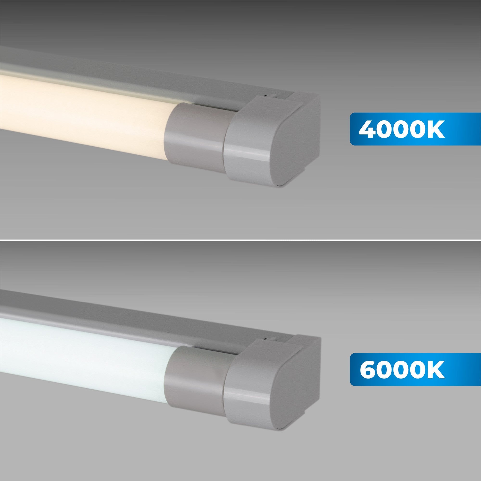 Kit regleta portatubos + tubo LED T8 - 24W - 150cm