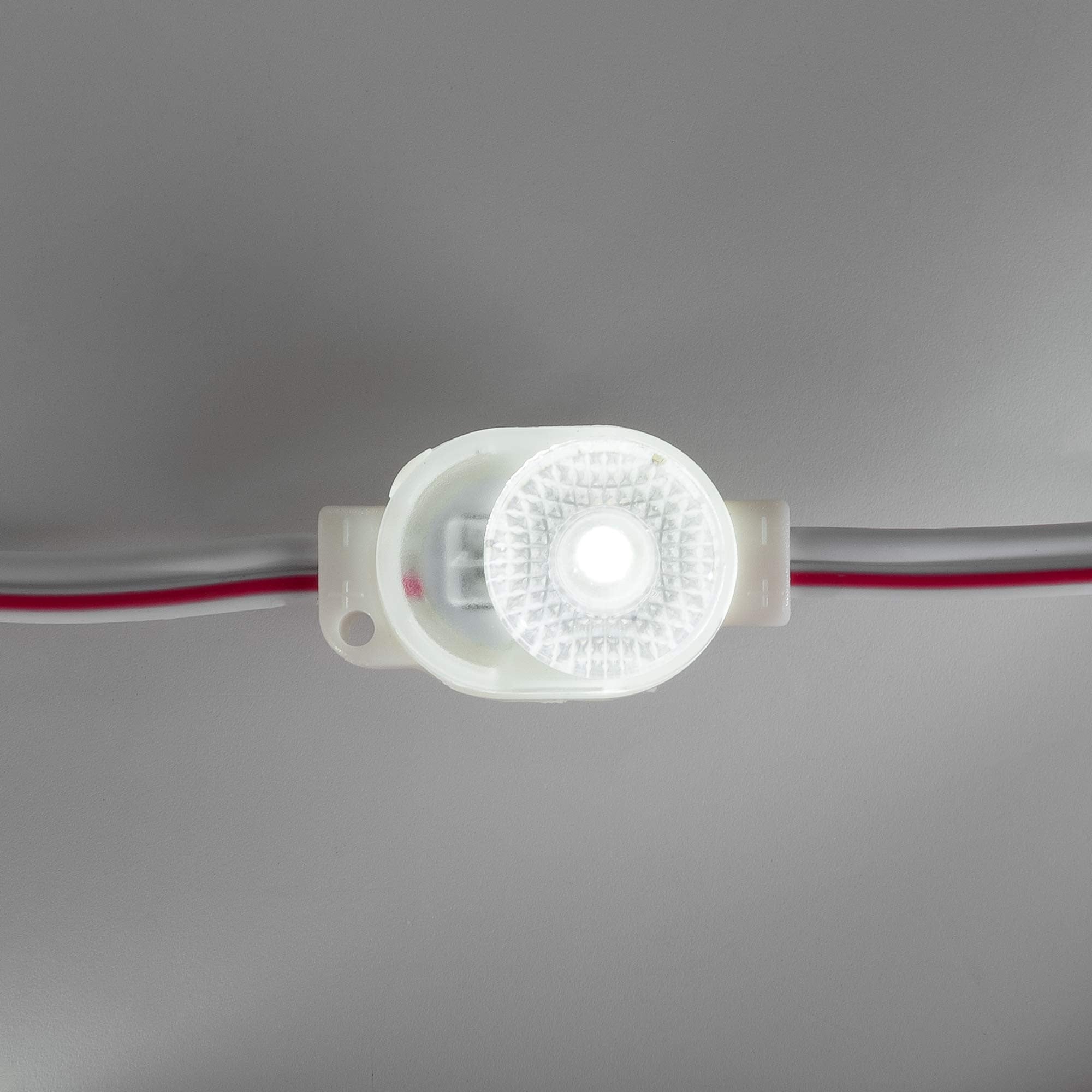 Módulo LED monocolor para rótulos - 0.5W - 12V DC - IP66 - 170º