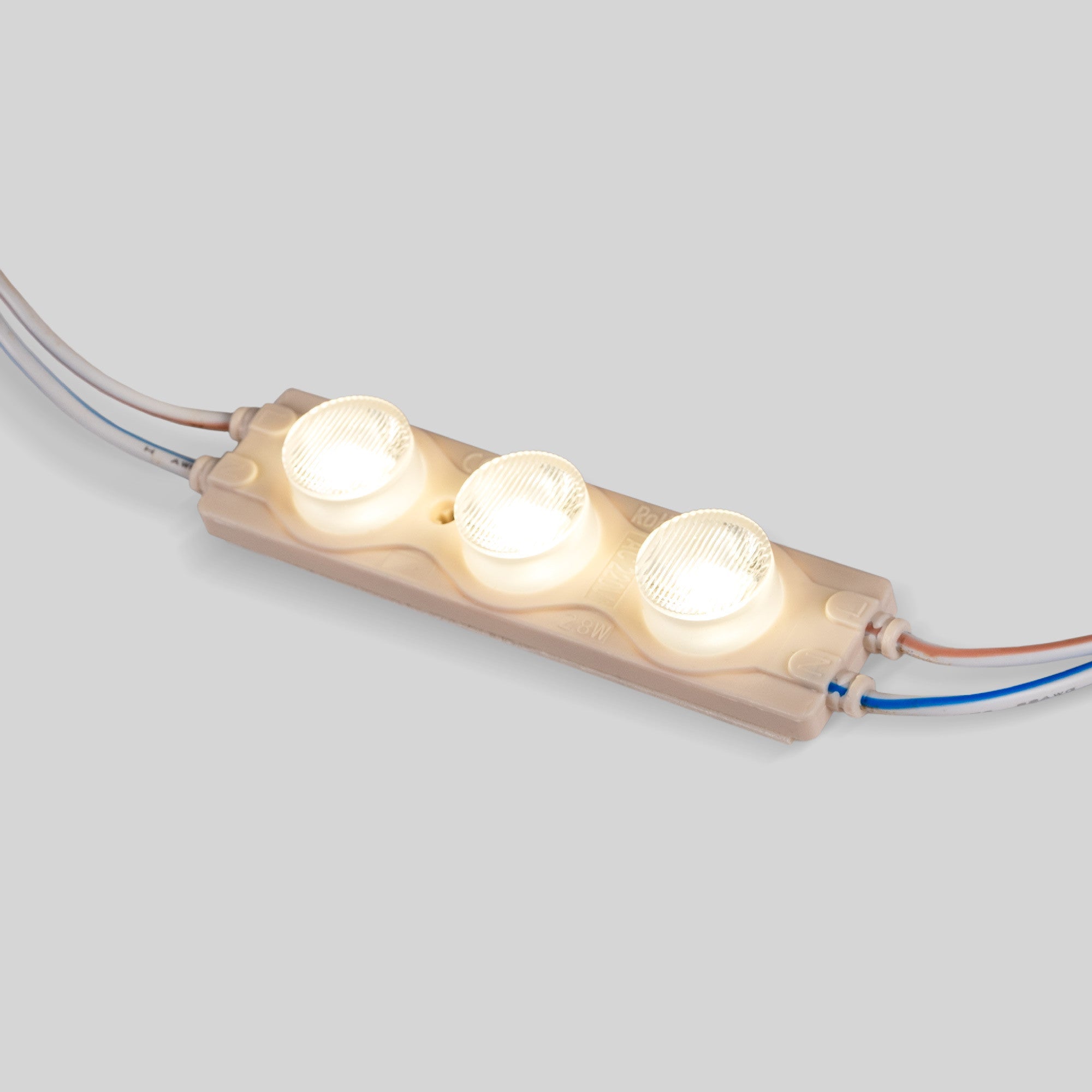 Módulo LED monocolor para rótulos - 3W - 220V AC - IP65 - 16º