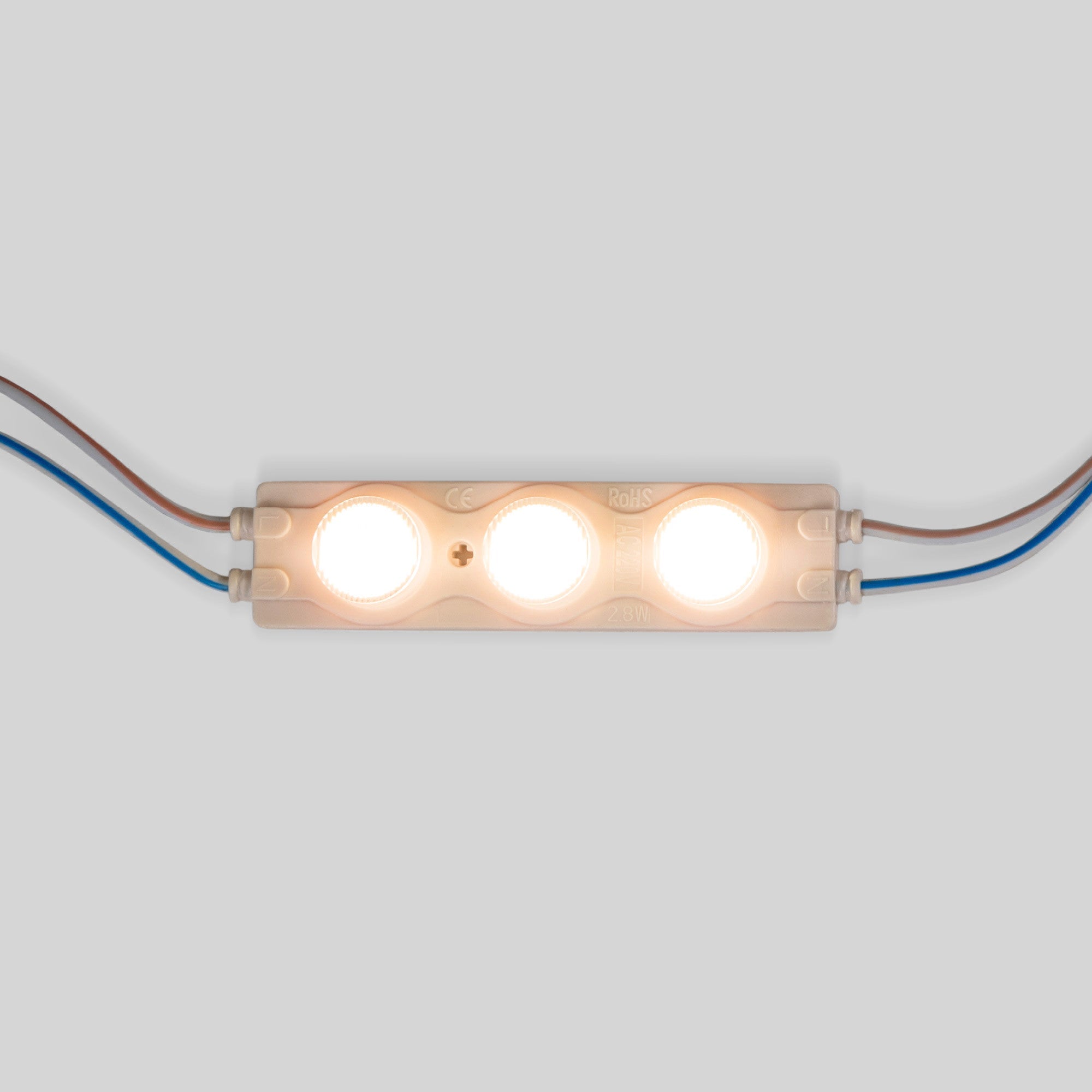 Módulo LED monocolor para rótulos - 3W - 220V AC - IP65 - 16º