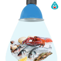 Campana LED 30W especial para pescado y marisco