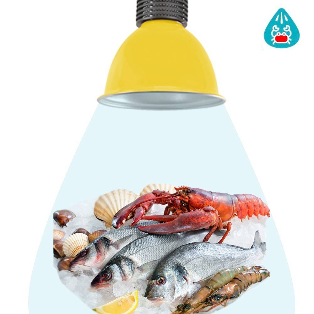 Campana LED 30W especial para pescado y marisco