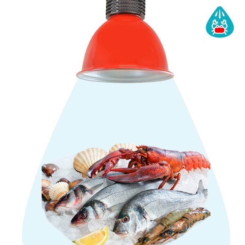 Campana LED 30W especial para pescado y marisco