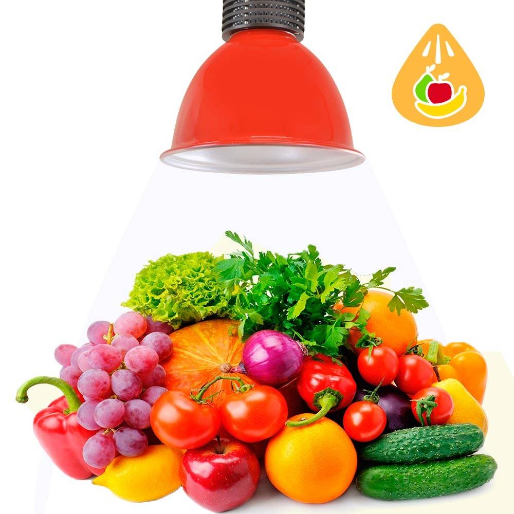 Campana LED 30W especial para fruterías y verdulerías