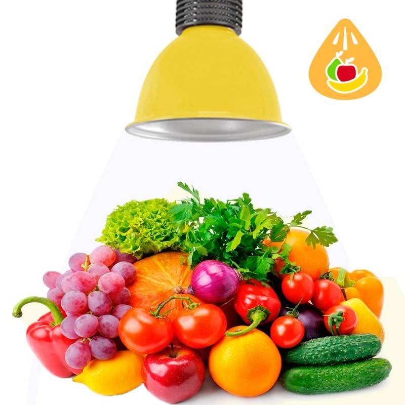 Campana LED 30W especial para fruterías y verdulerías