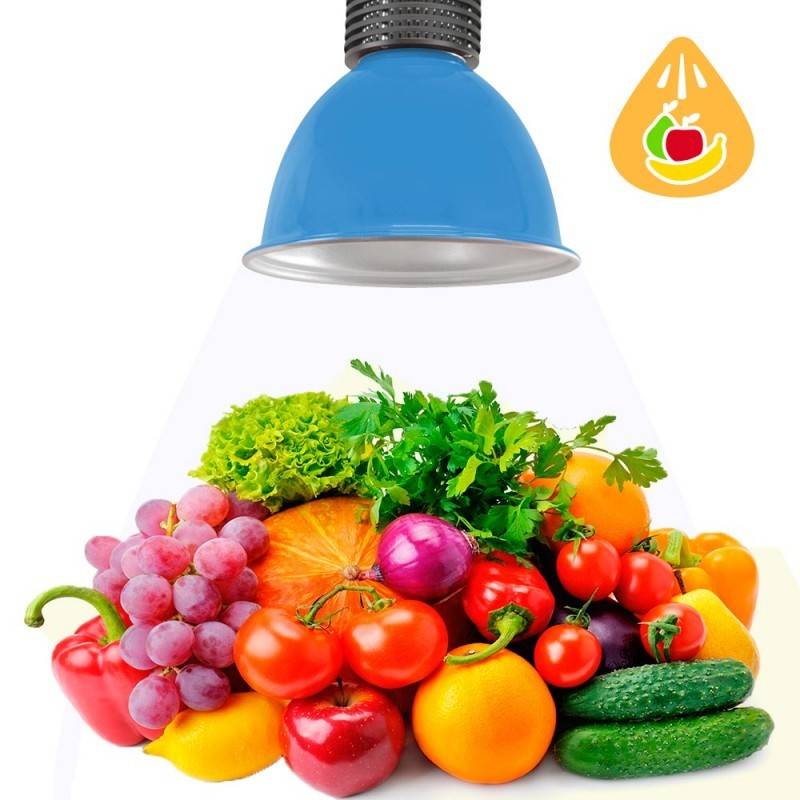 Campana LED 30W especial para fruterías y verdulerías