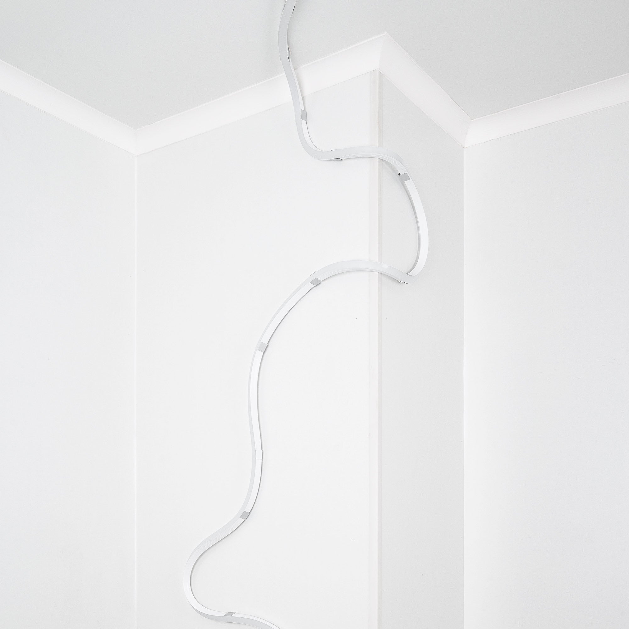 Neón LED flexible 3D  24V DC - 16x16mm - 5 metros - Kit completo - 12W/m - IP67 - Curvatura vertical y horizontal