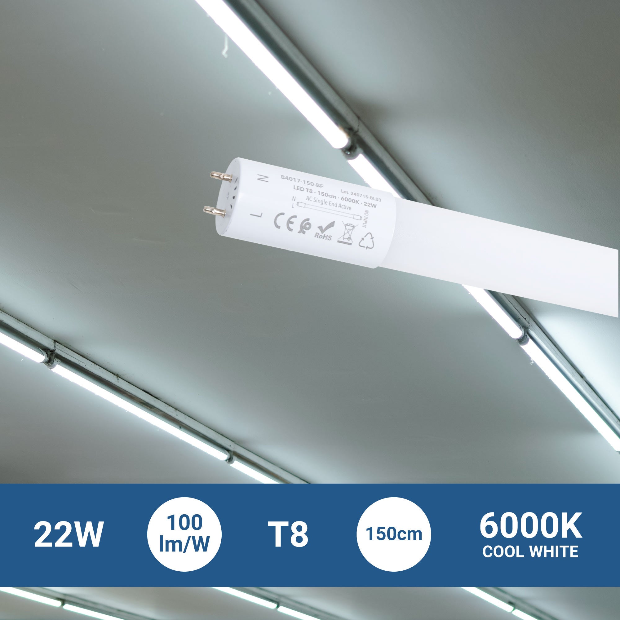 Tubo LED T8 con sensor de movimiento microondas 30-100% - 22W - 150 cm - 6000K