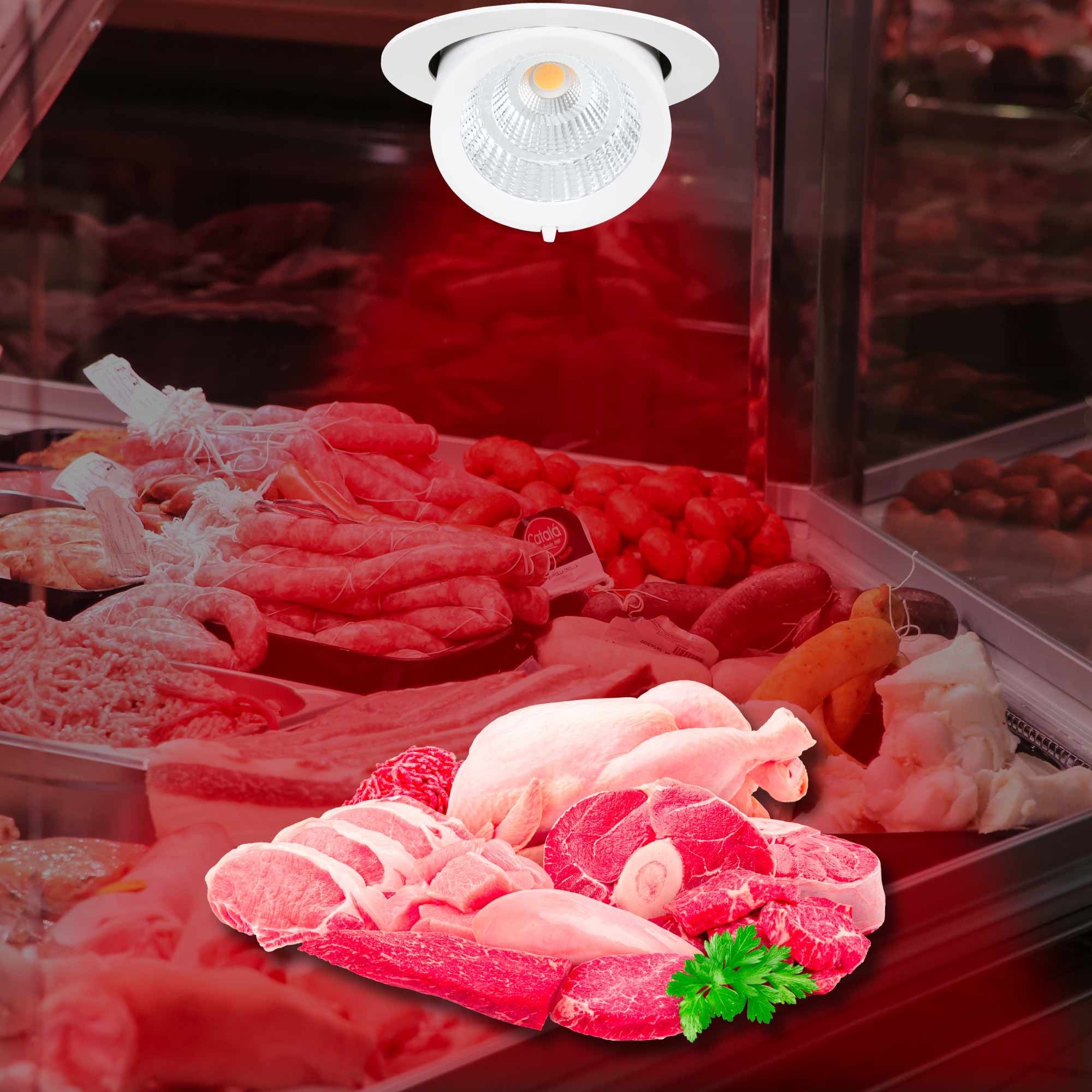 Downlight LED basculante empotrable - Chip especial para comercios - 40W
