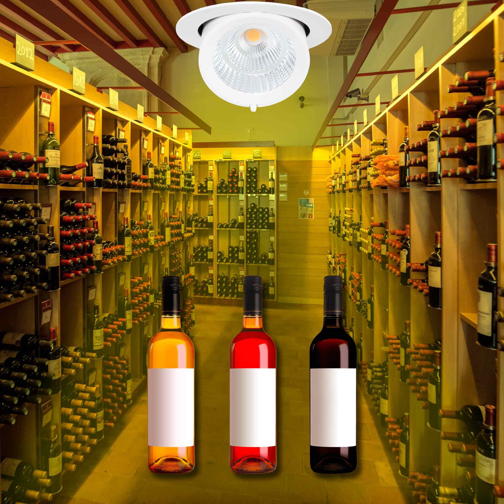 Downlight LED basculante empotrable - Chip especial para comercios - 40W
