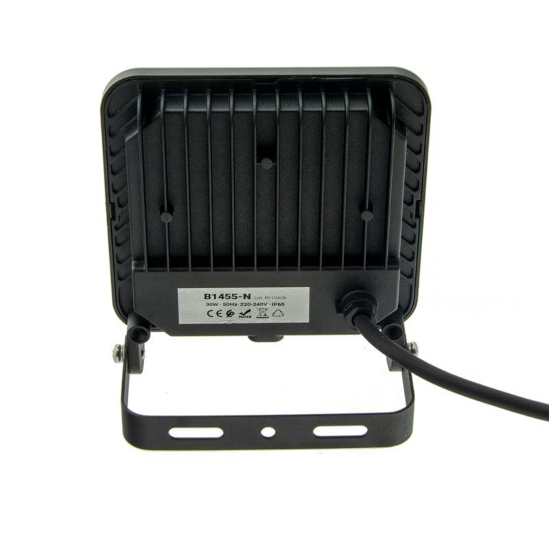 Proyector LED RGB 30W IP65 con mando 24 teclas y estaca