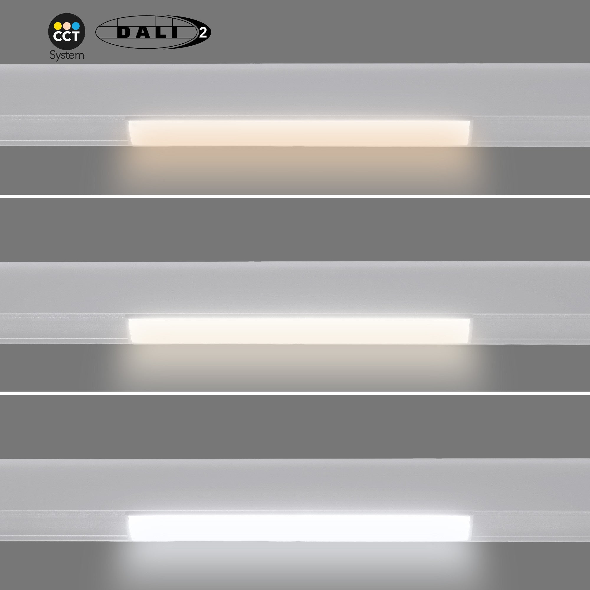 Foco lineal opal para carril magnético 48V CCT - 12W - DALI-2 regulable